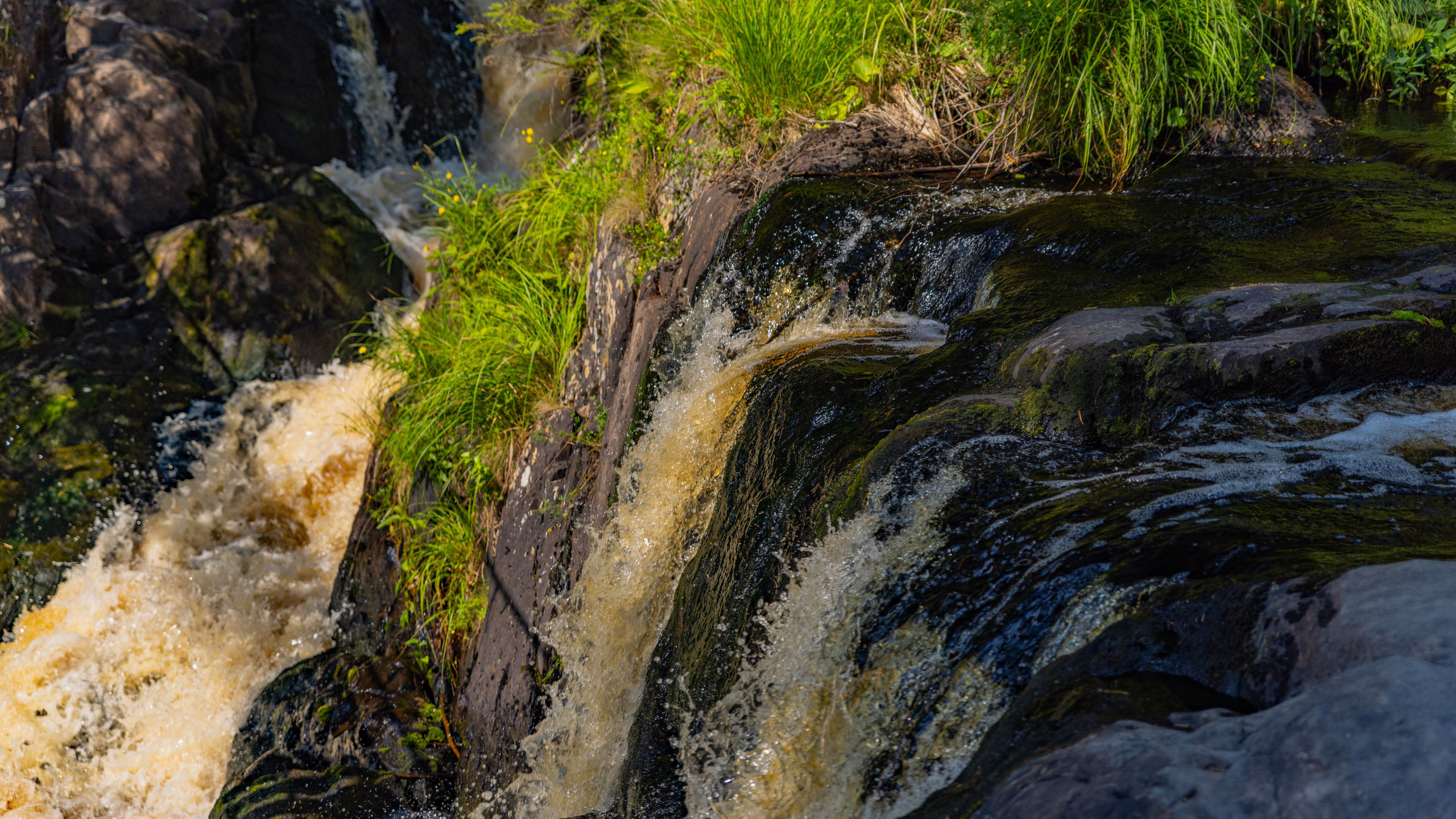 2025 07 Выборг — Сортавала — Великий Новгород — Псков. Фотографии