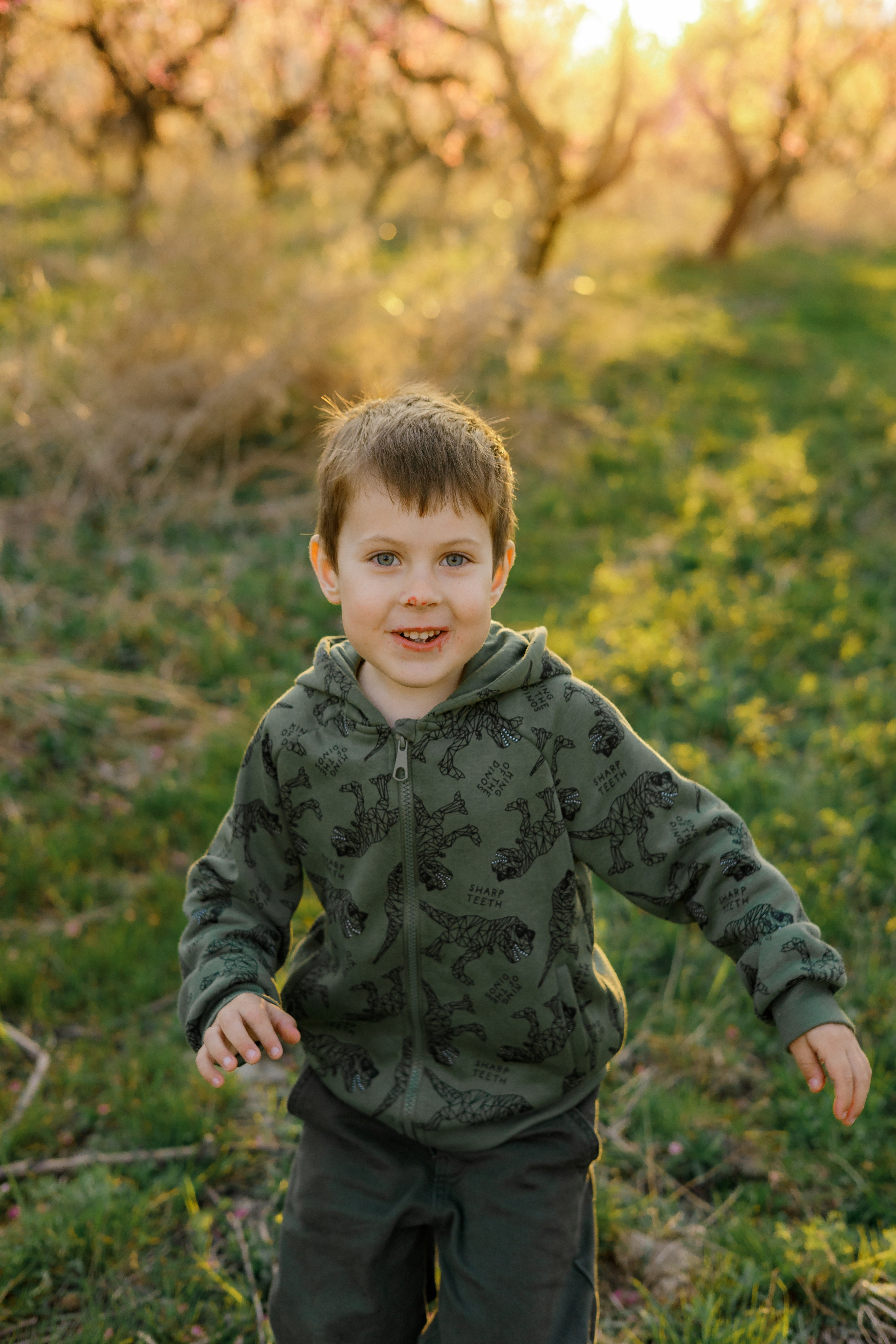 Закат в персиковом саду