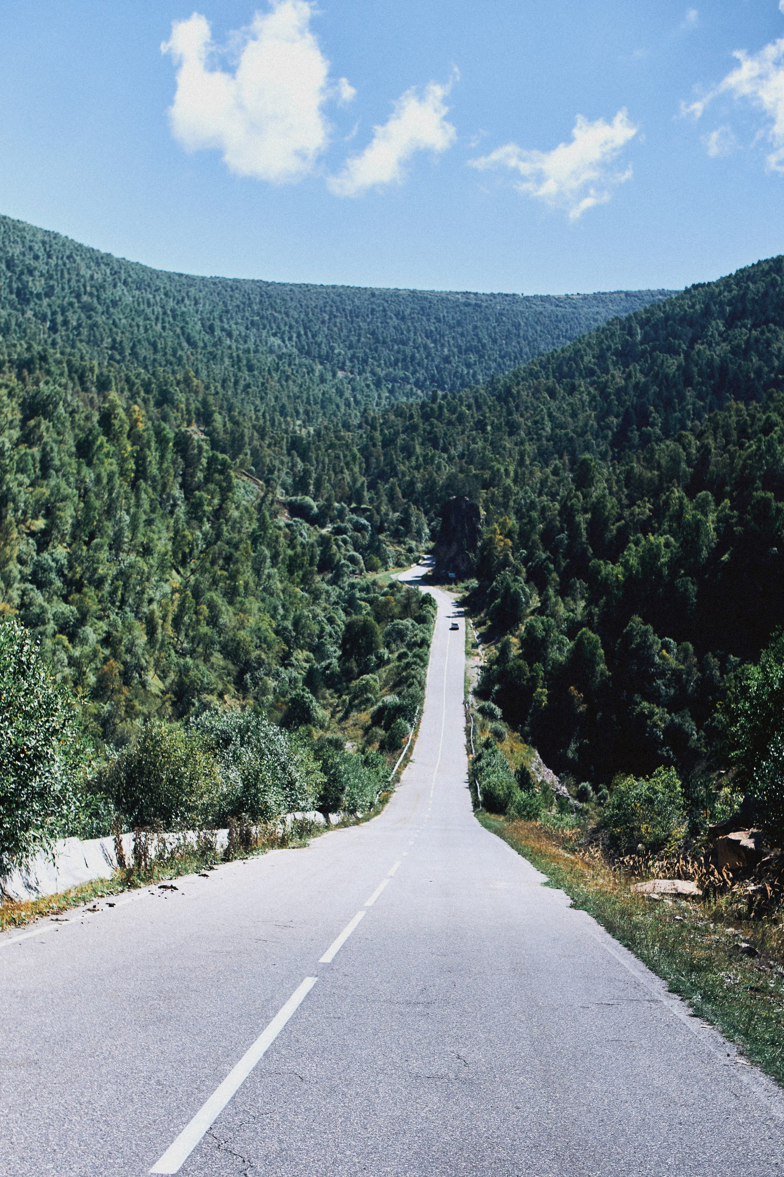 Kavkaz. SHILOVA PHOTO. Шилова Екатерина. Фотограф. Москва