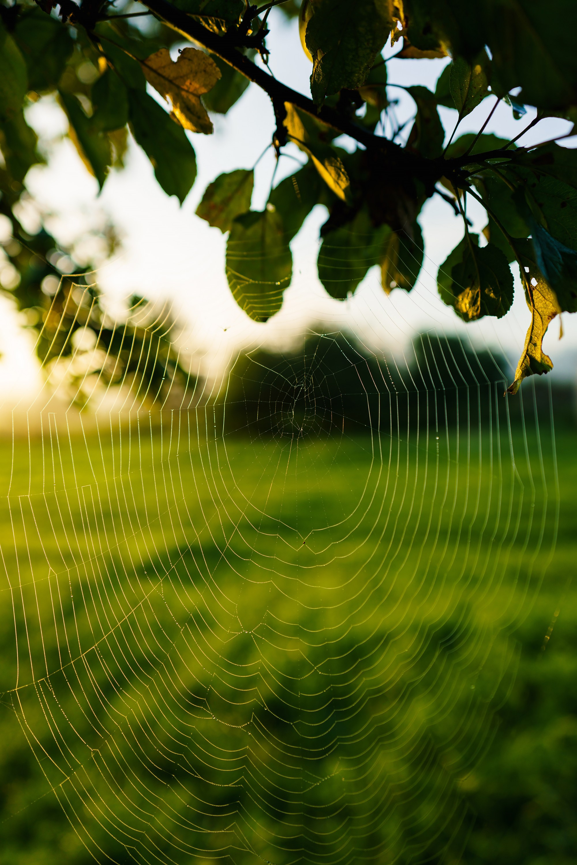 Фотографии Национальный парк Угра. Фотограф спортивные события, недвижимость, турбизнес