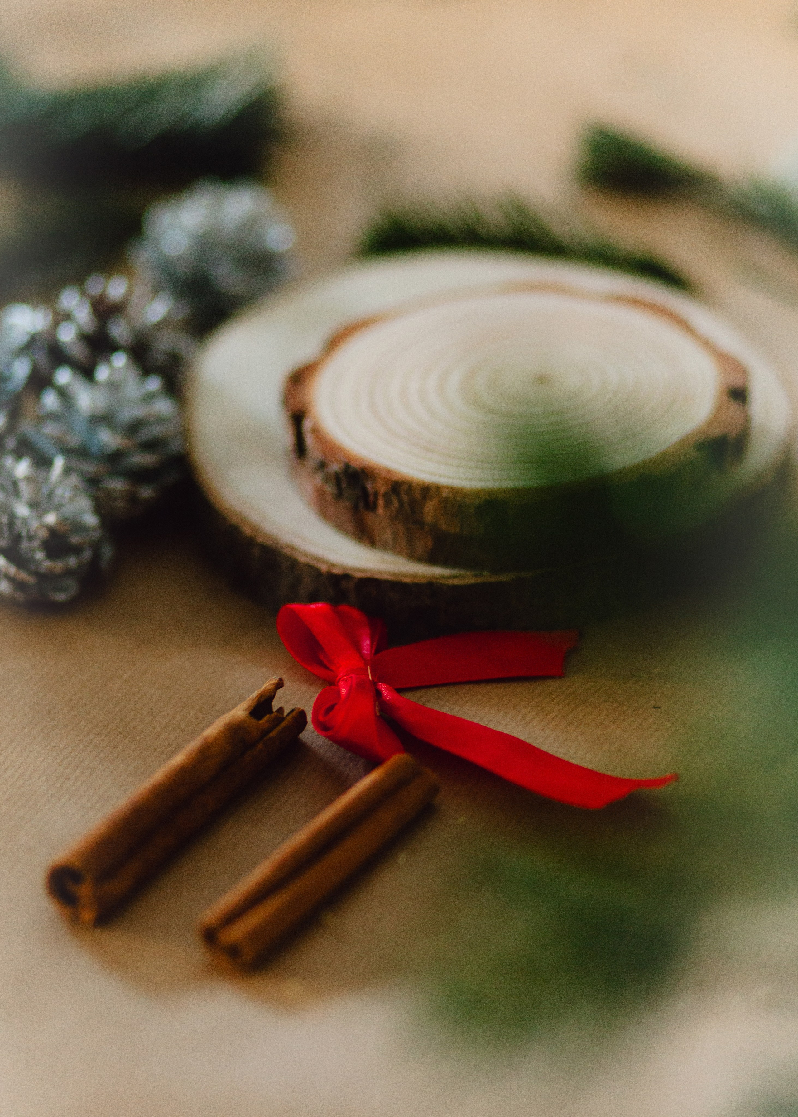 Christmas Workshop. Barbara Isaeva