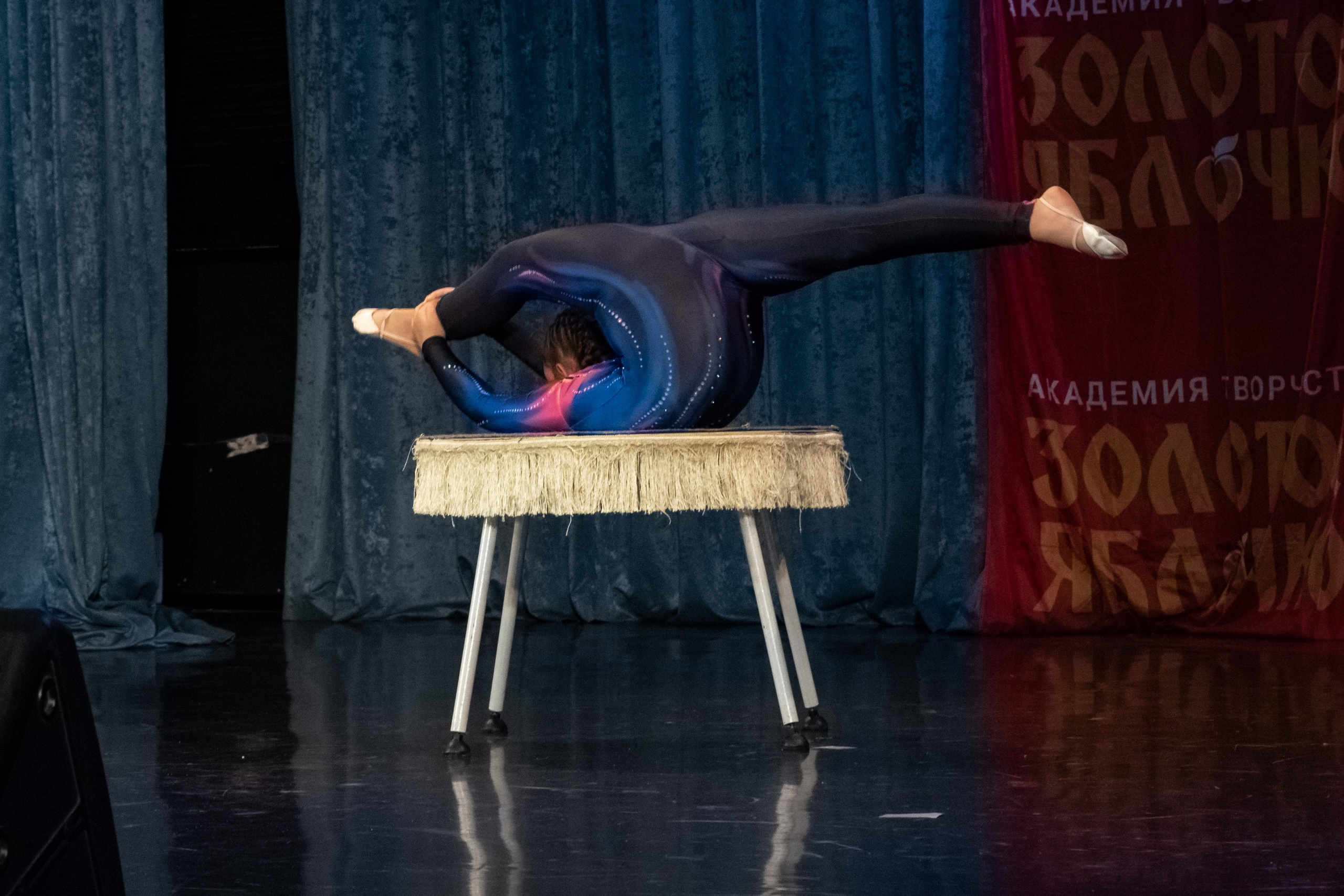 7 декабря, г. Выборг. Золотое яблочко