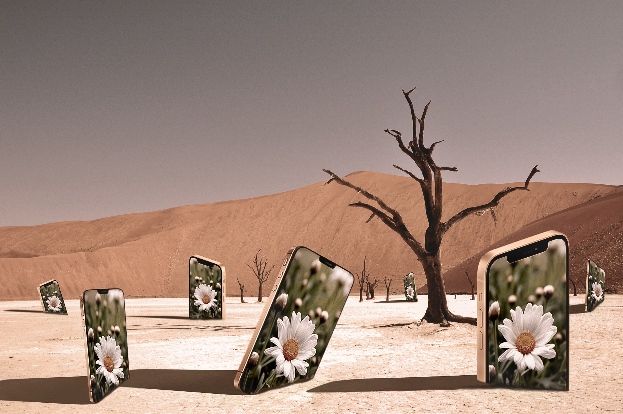 Коллажи. Фотограф/ретушер в Ереване Наталья Орлова