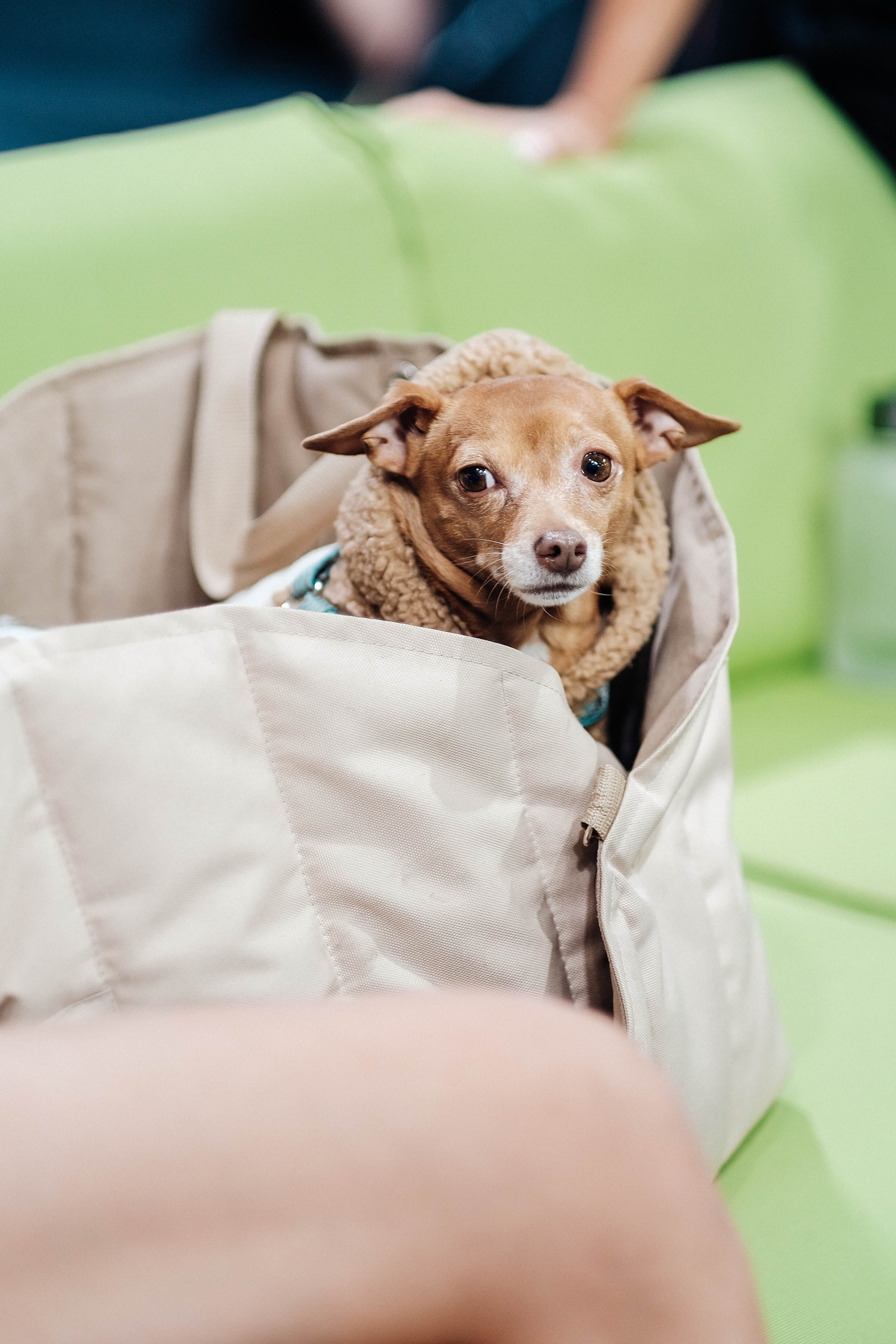 Январь 2025. GoPadel League галерея