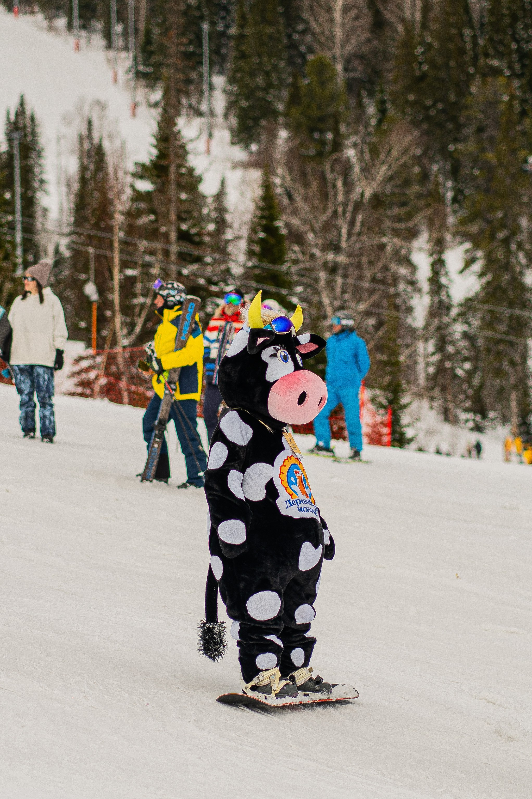 Грелка 13.04.24. Анастасия Паршукова — фотограф Шерегеш Новосибирск