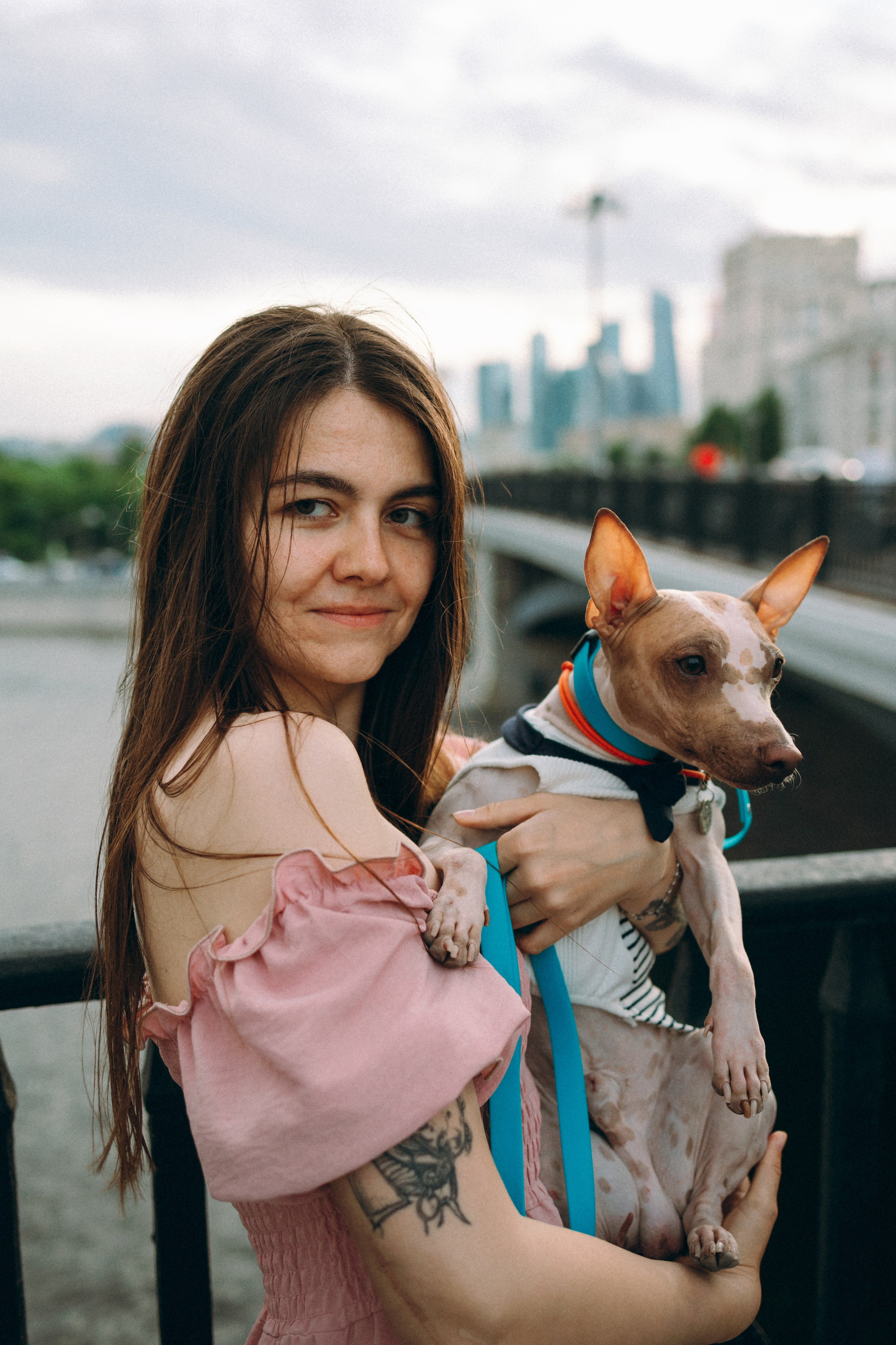 Глаша, Айрон, Ксюша и Оля. Фотограф анималист Анастасия Пикей