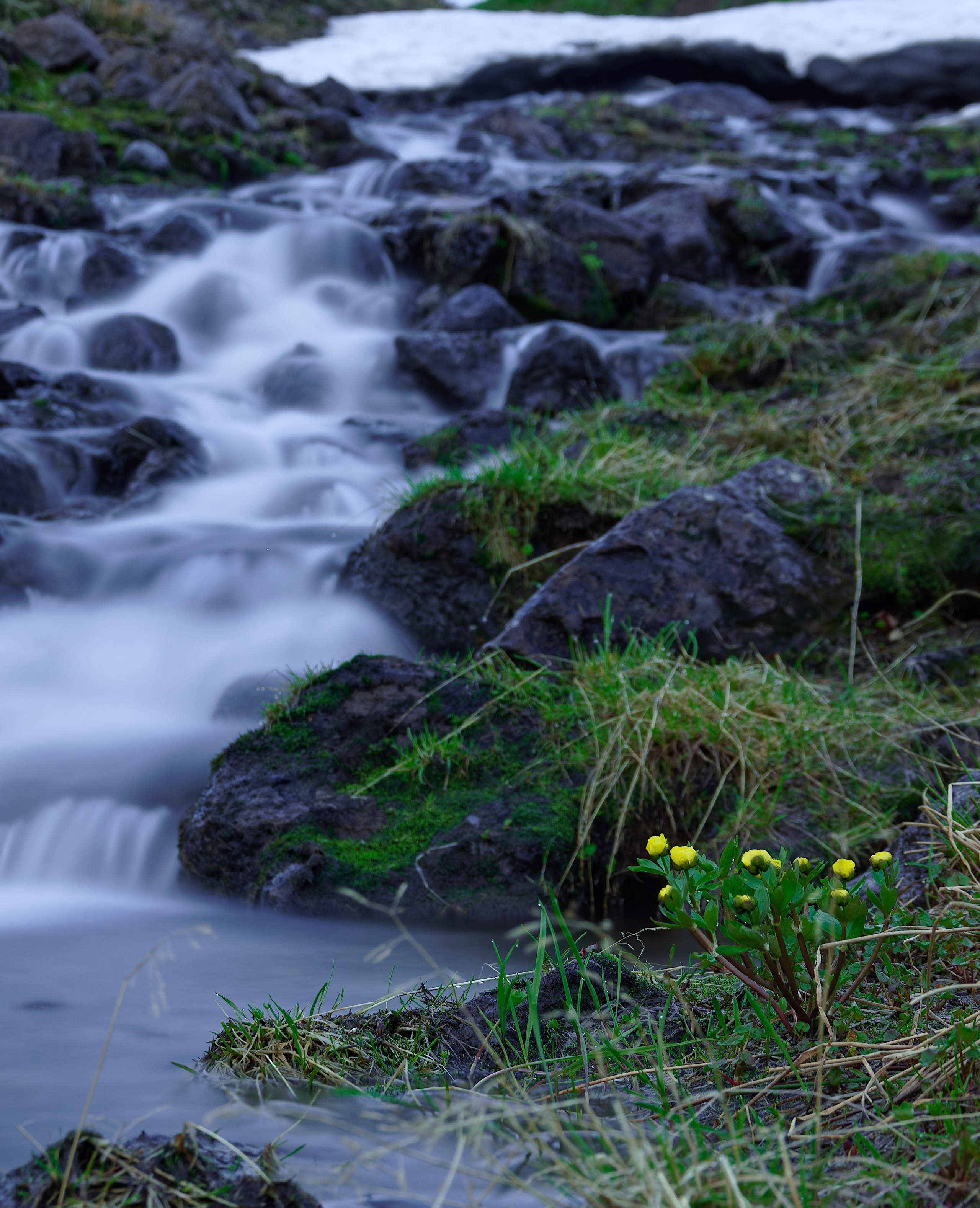 Камчатка. Фототрип. Тур?. Семоха Валерий. Фотограф