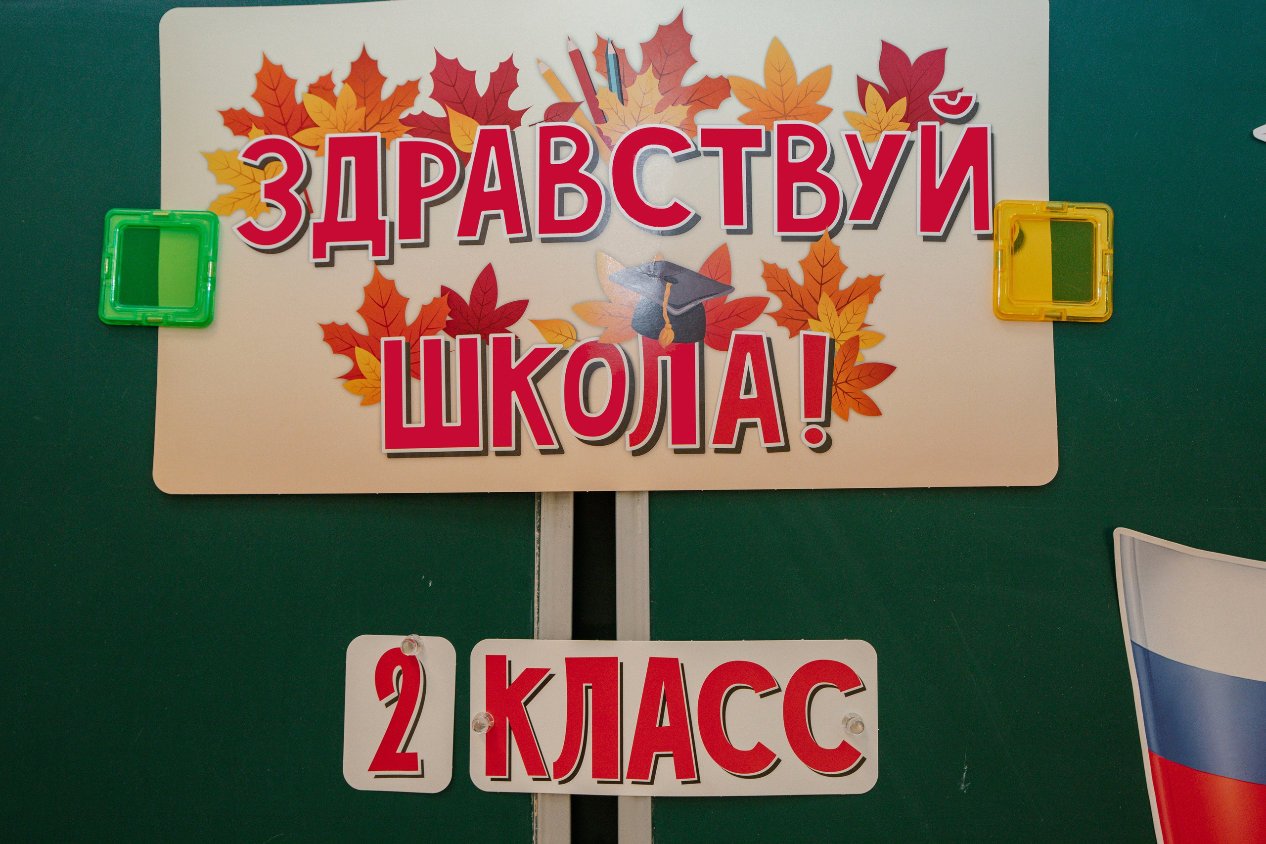 Во 2 класс 🍁 школа № 138. Фотограф в Москве Яна Полосина