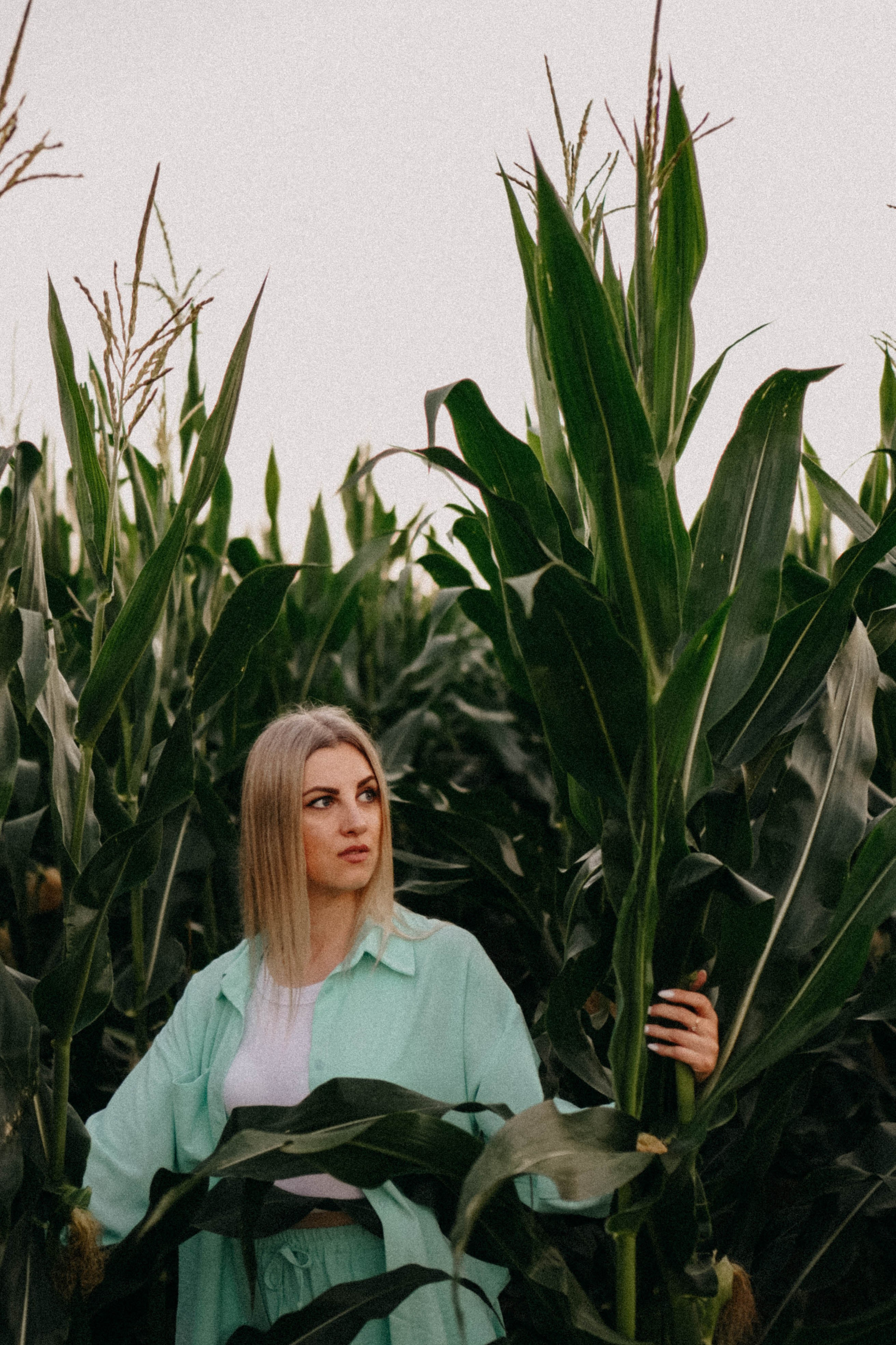 Летний вечер. Профессиональный фотограф, Санкт-Петербург — Виктория Богомолова