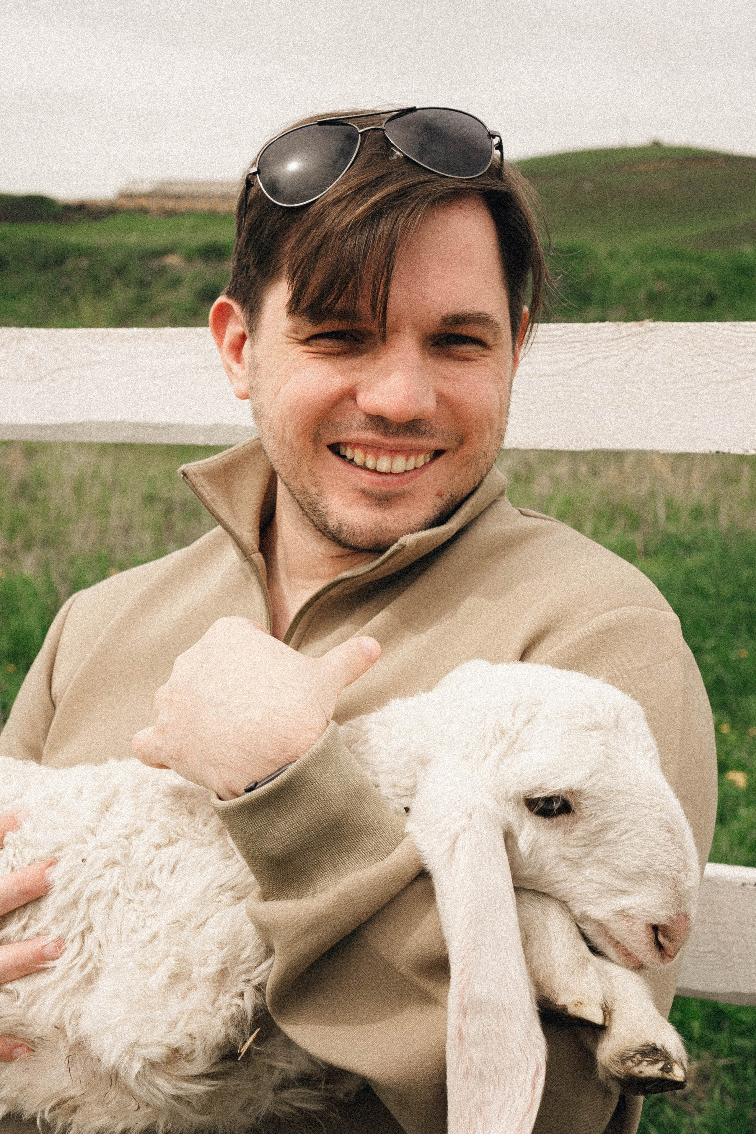 Ферма Альпак. Профессиональный фотограф, Санкт-Петербург — Виктория Богомолова