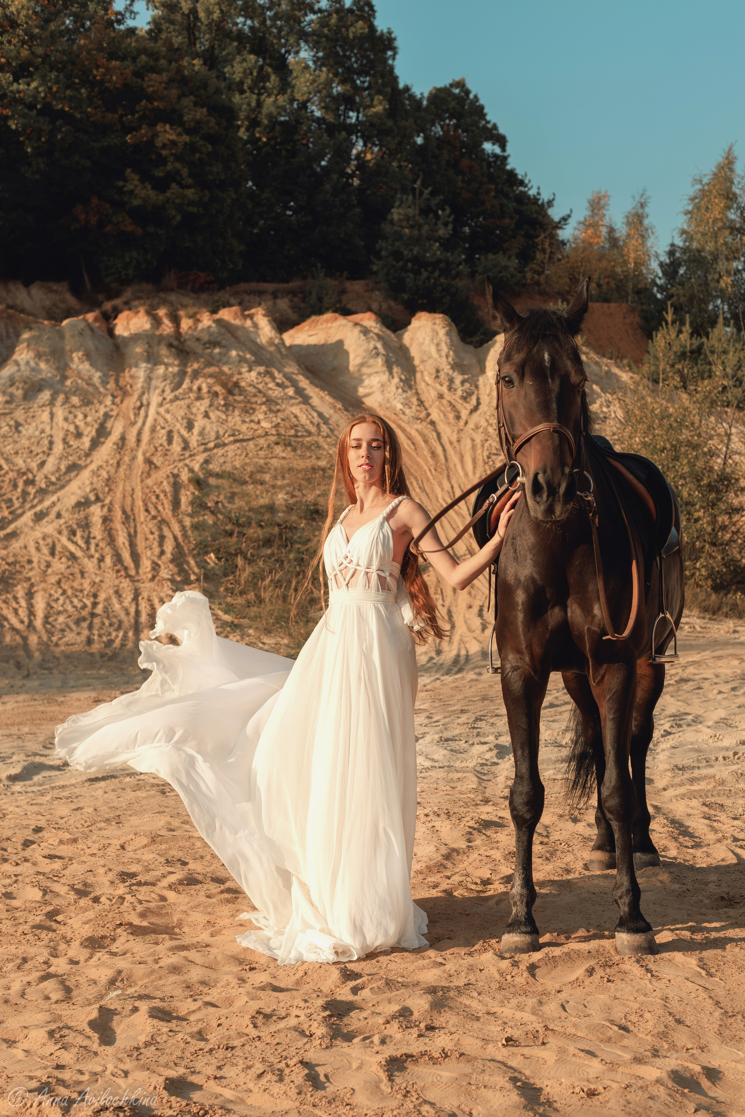 Альбомы стилизованных фотосессий и съёмки с животными. Семейный и свадебный фотограф в Москве и Домодедово Анна Авилочкина