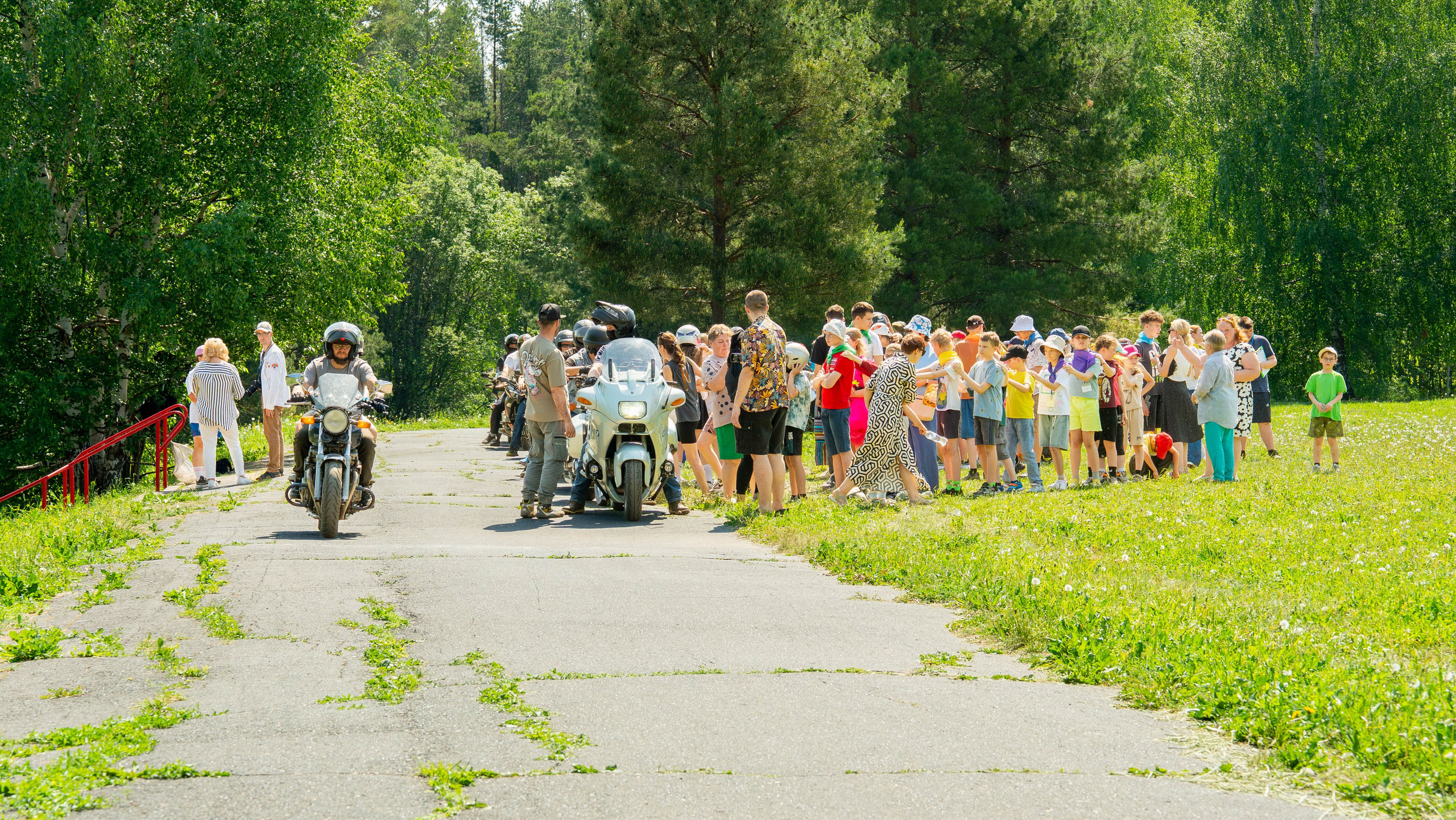 Лесная сказка. Фотограф Наталья Сорока Ижевск