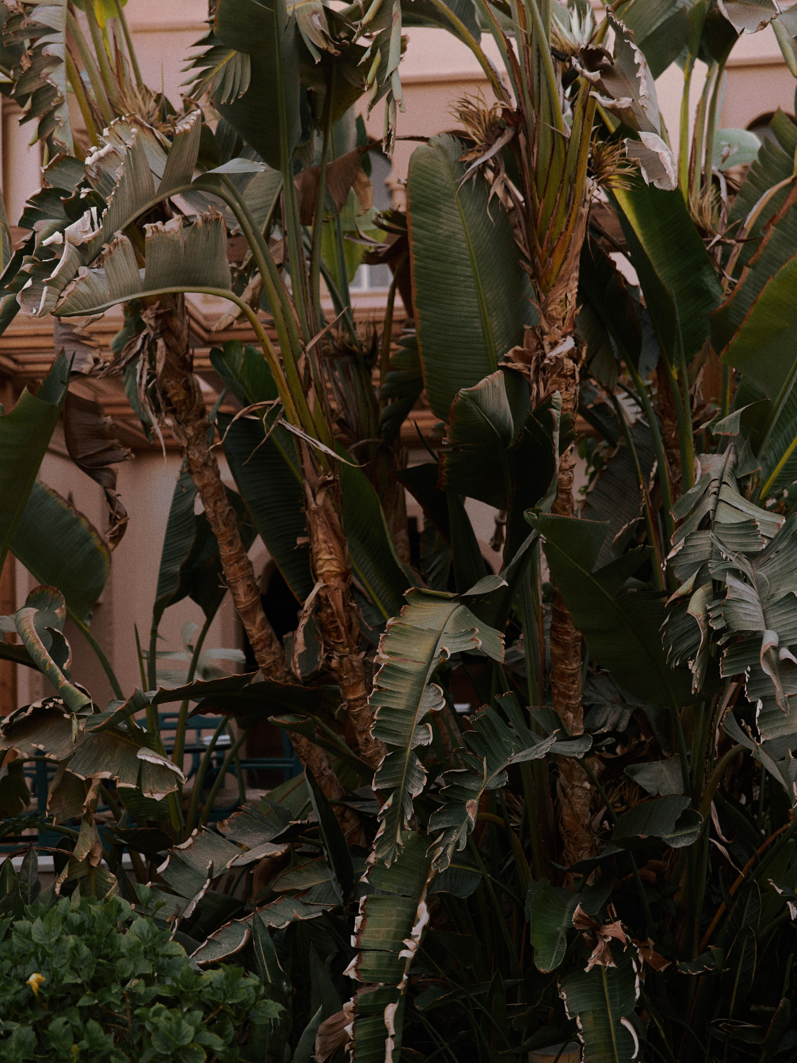 Диптих. Jorgis — фотограф в Хургаде / обучение фотографии