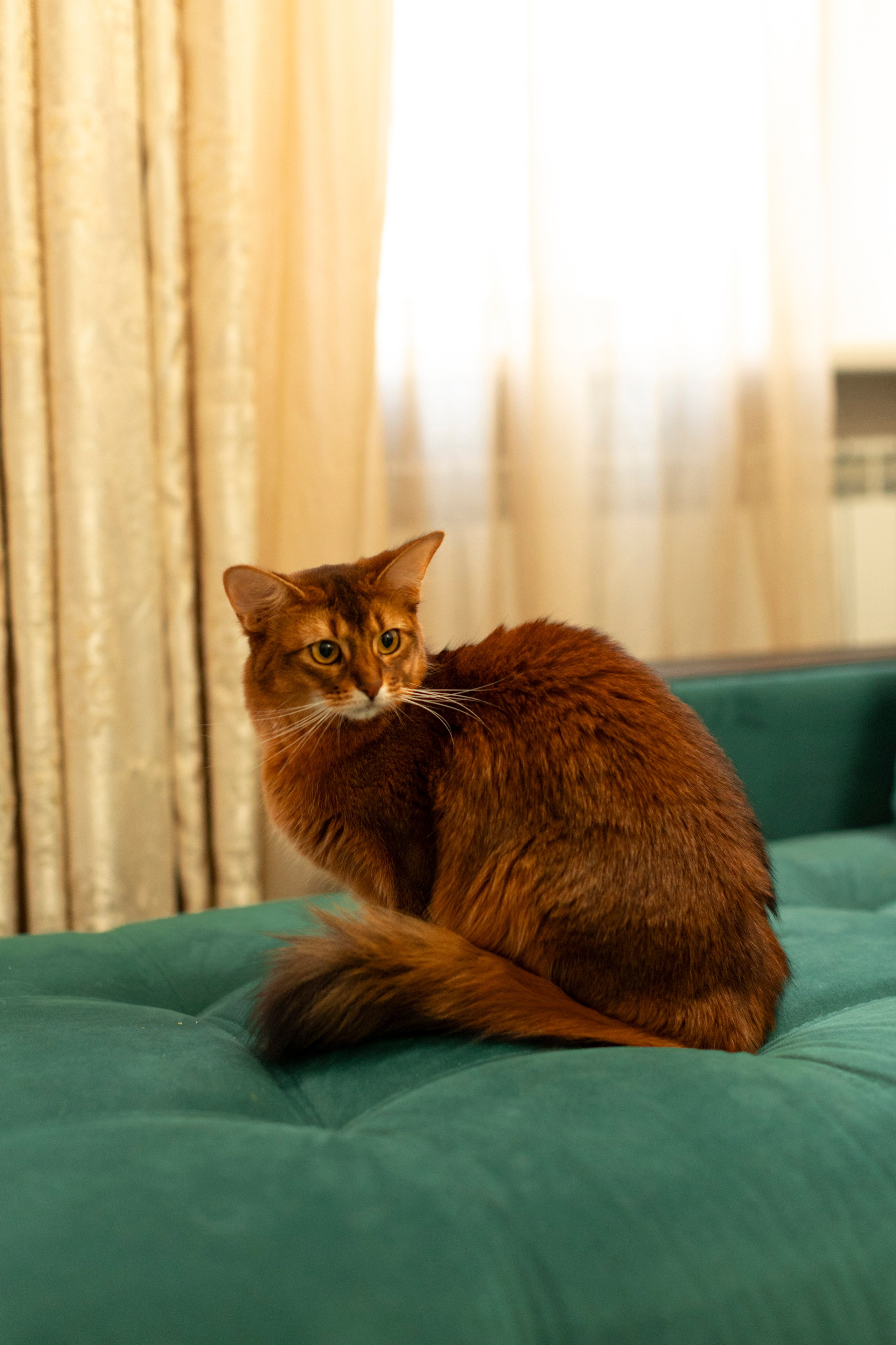 Сомали. Art my Pho