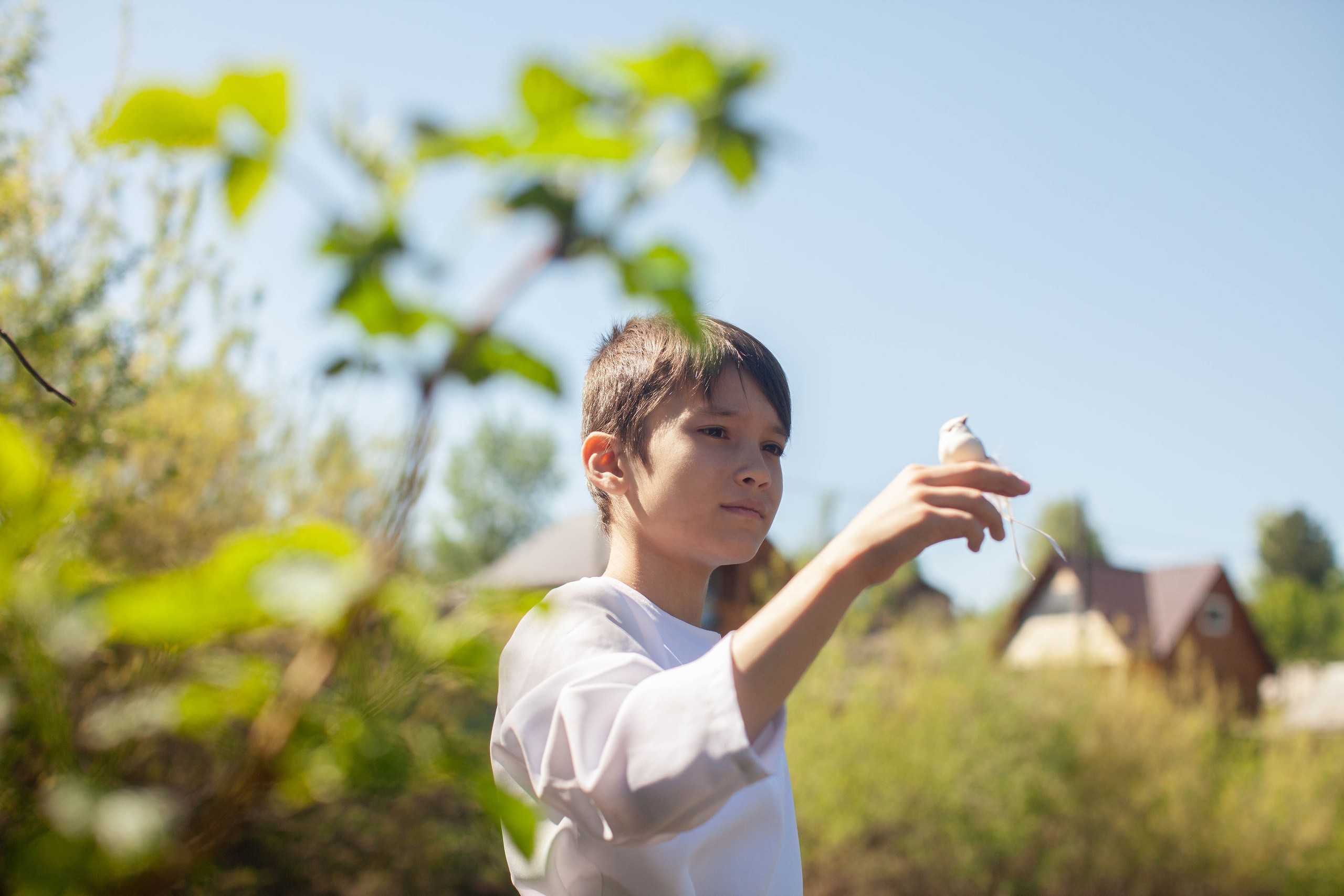 Летний день. Art my Pho