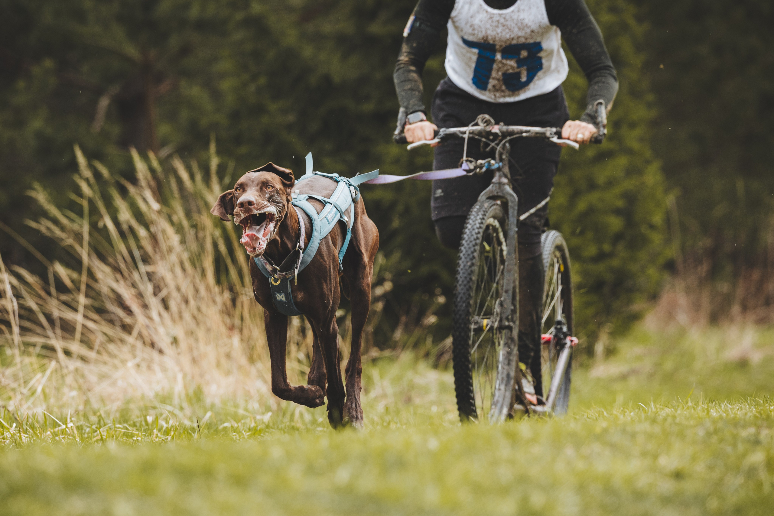 Почёвинский драйдленд. Фотограф Ирина Астор
