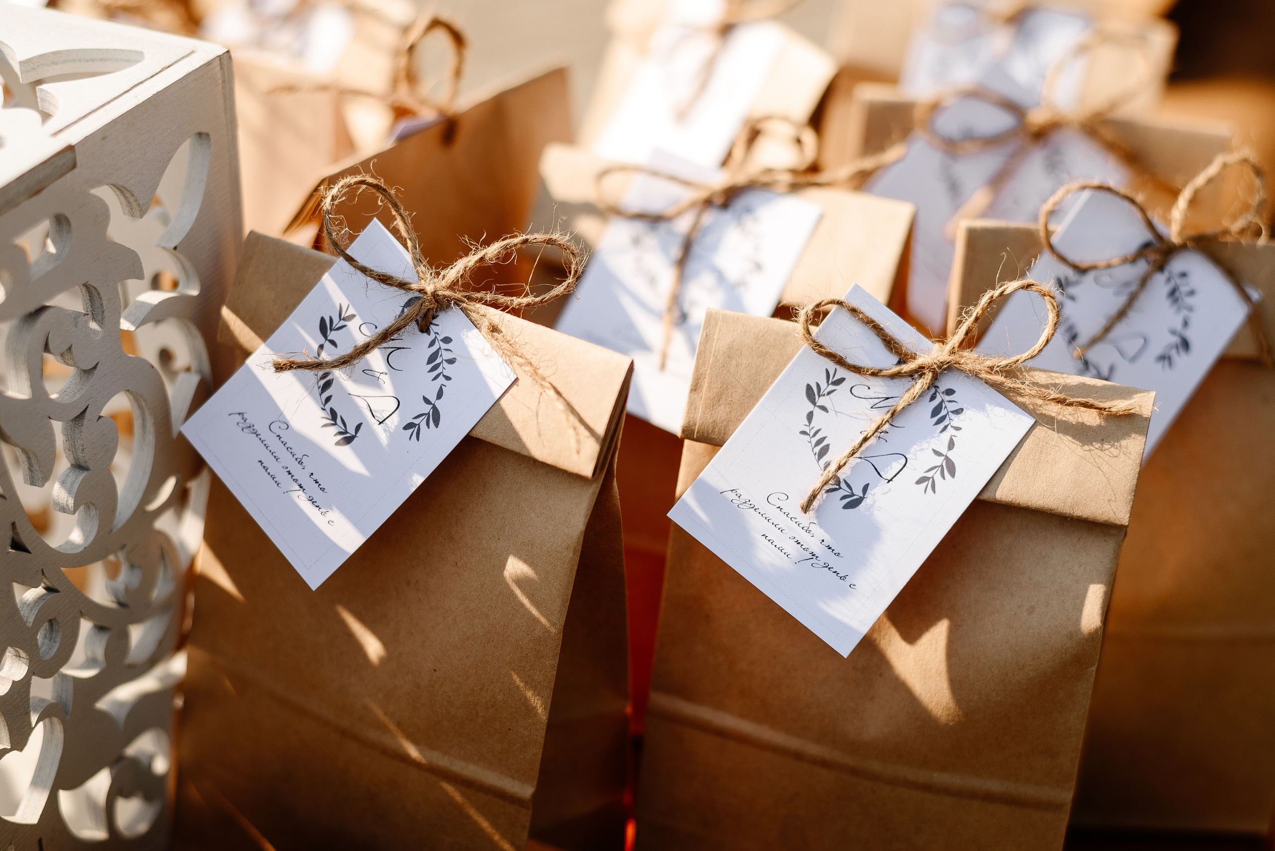 /Диана и Максим. 12/08/2022. Свадебный фотограф в Минске и Жлобине Светлана Карпович