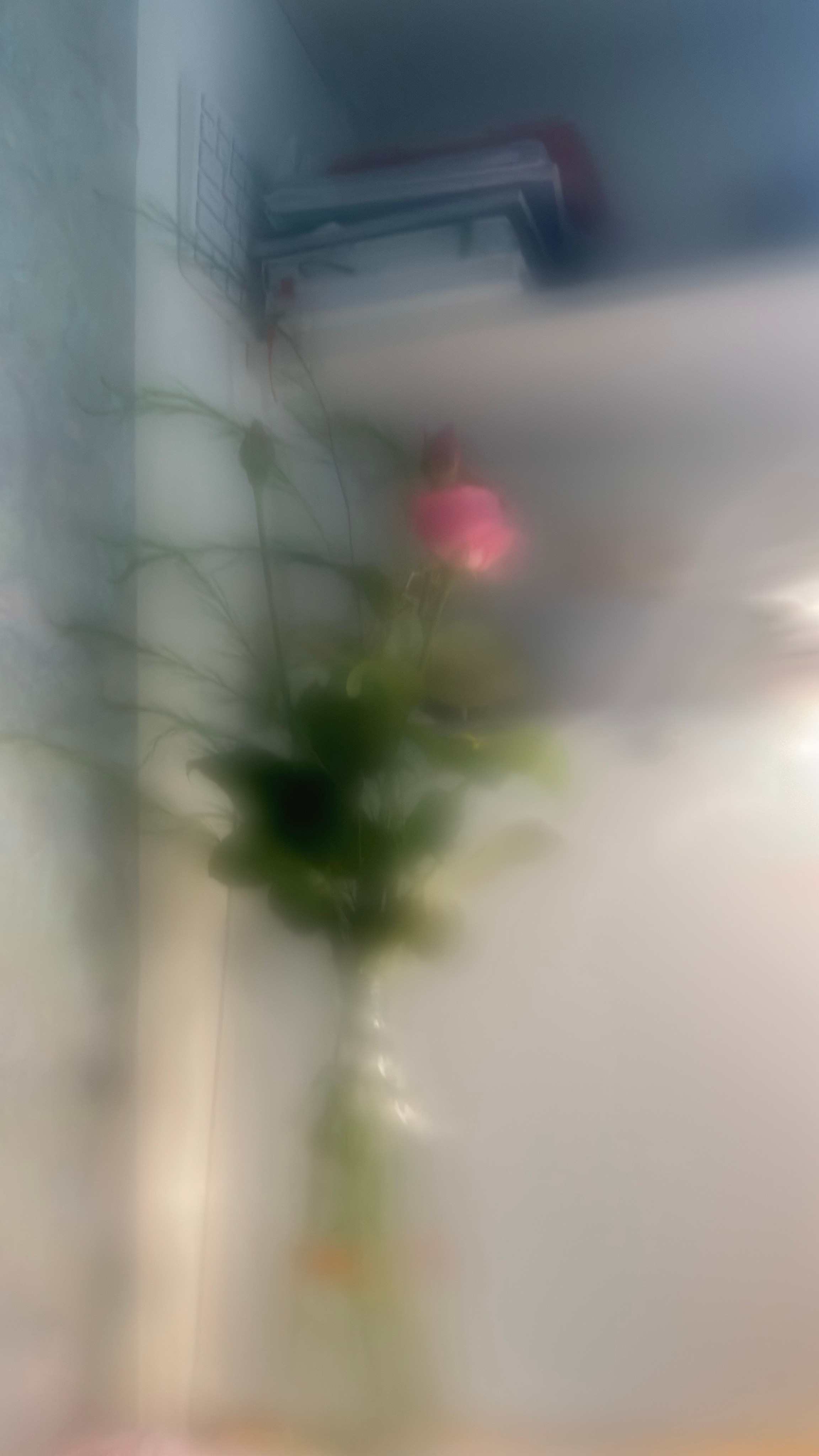 Портрет. Фотограф • Елена Миронова