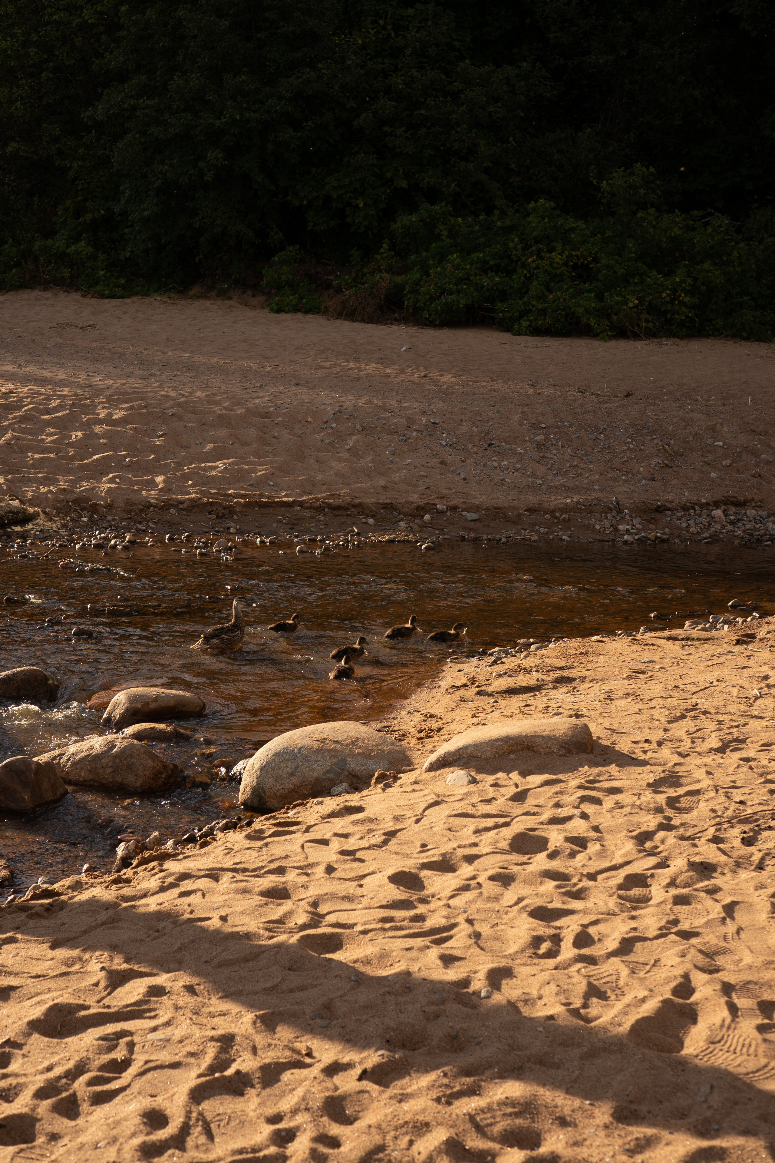 РОМАНТИКА ФИНСКОГО ЗАЛИВА. Профессиональный фотограф, Санкт-Петербург — Виктория Богомолова
