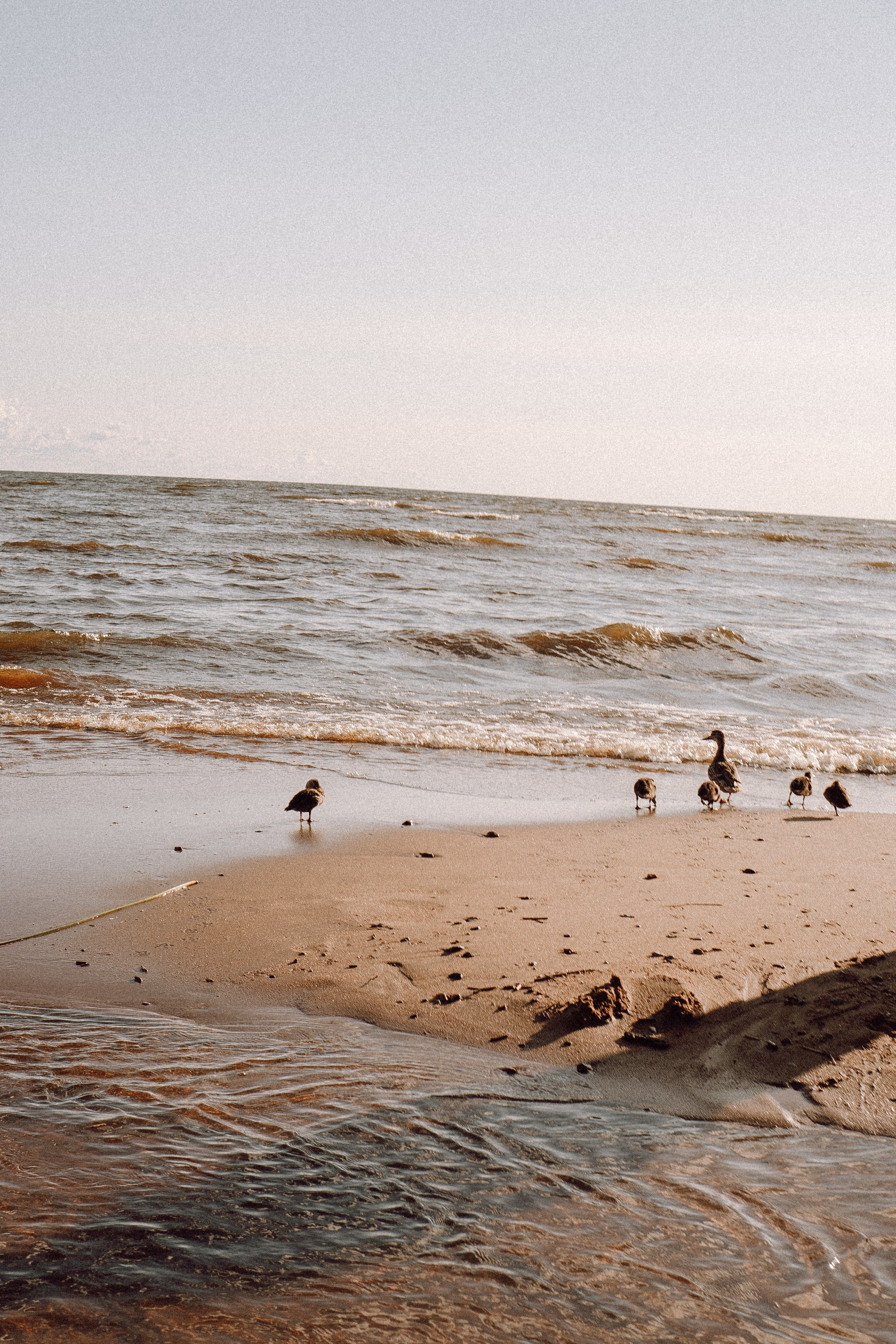 РОМАНТИКА ФИНСКОГО ЗАЛИВА. Профессиональный фотограф, Санкт-Петербург — Виктория Богомолова