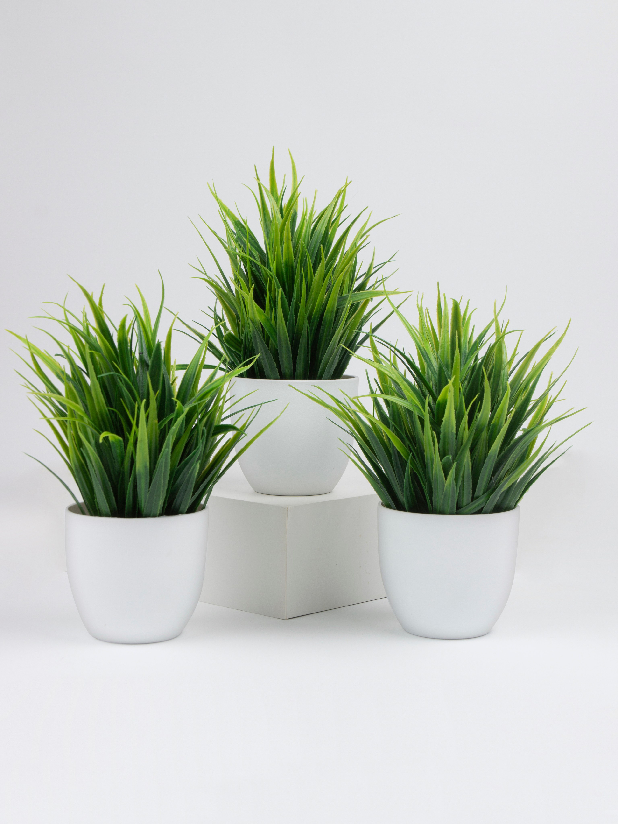 Декор для дома. Фотограф Злата Спицына