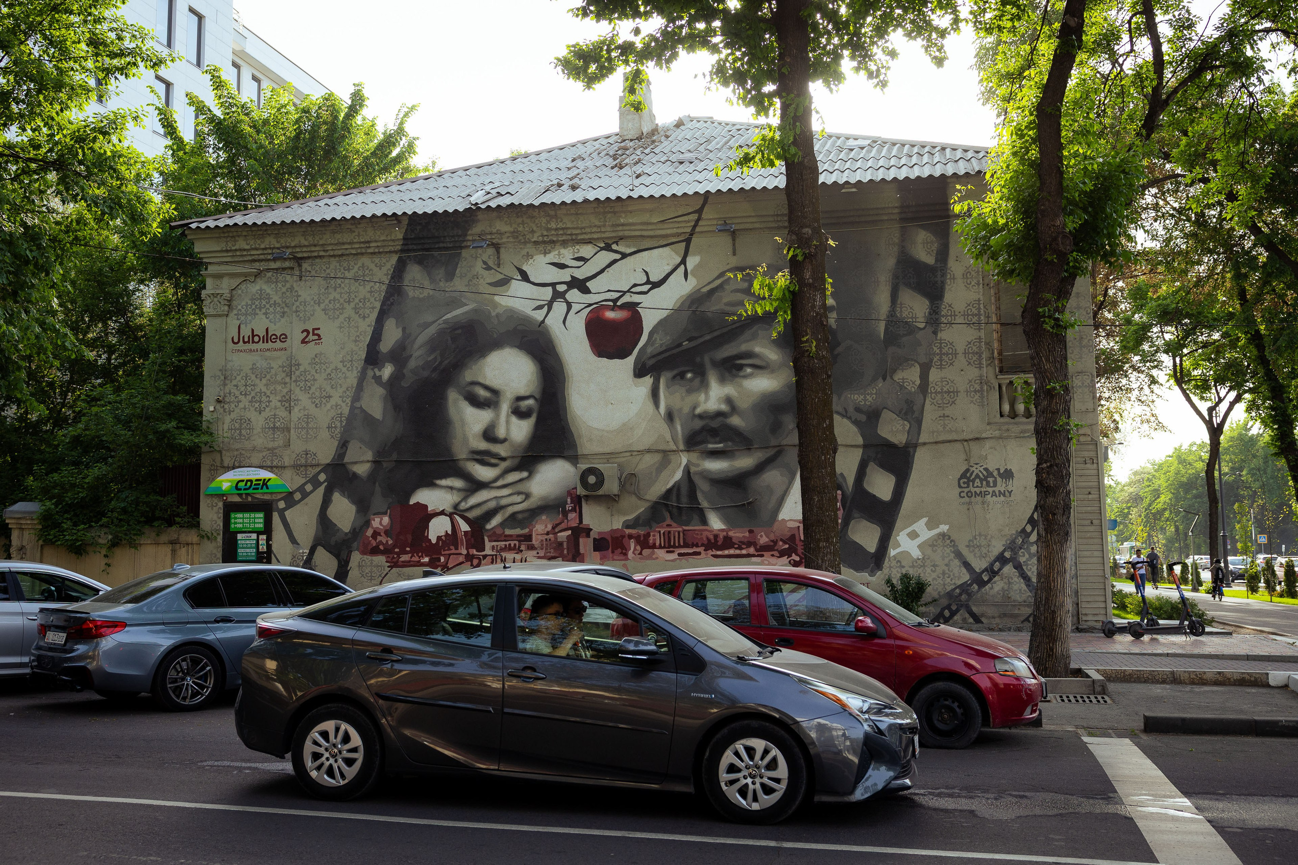 Кыргызстан (весна 2025). Фотограф Виноградов Константин