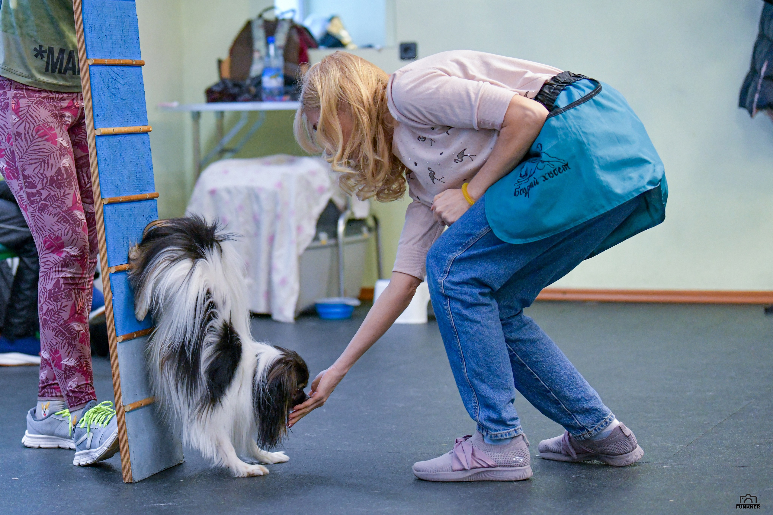 Кинологический клуб «Бодрый хвост». Свой взгляд через объектив