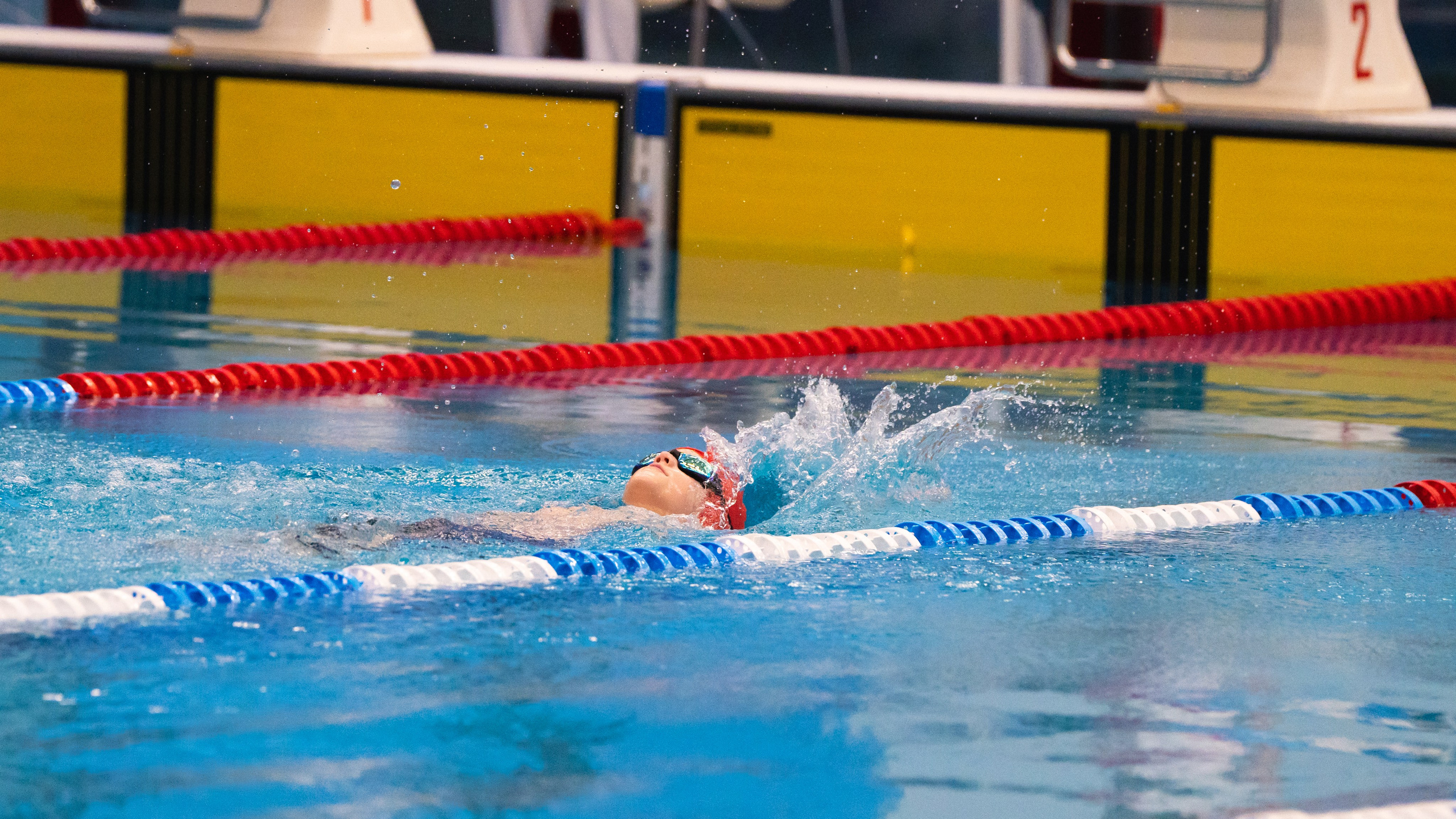 Открытый новогодний турнир по плаванию «Сила воды», 2025. Фотограф и видеооператор Екатерина Гнатюк