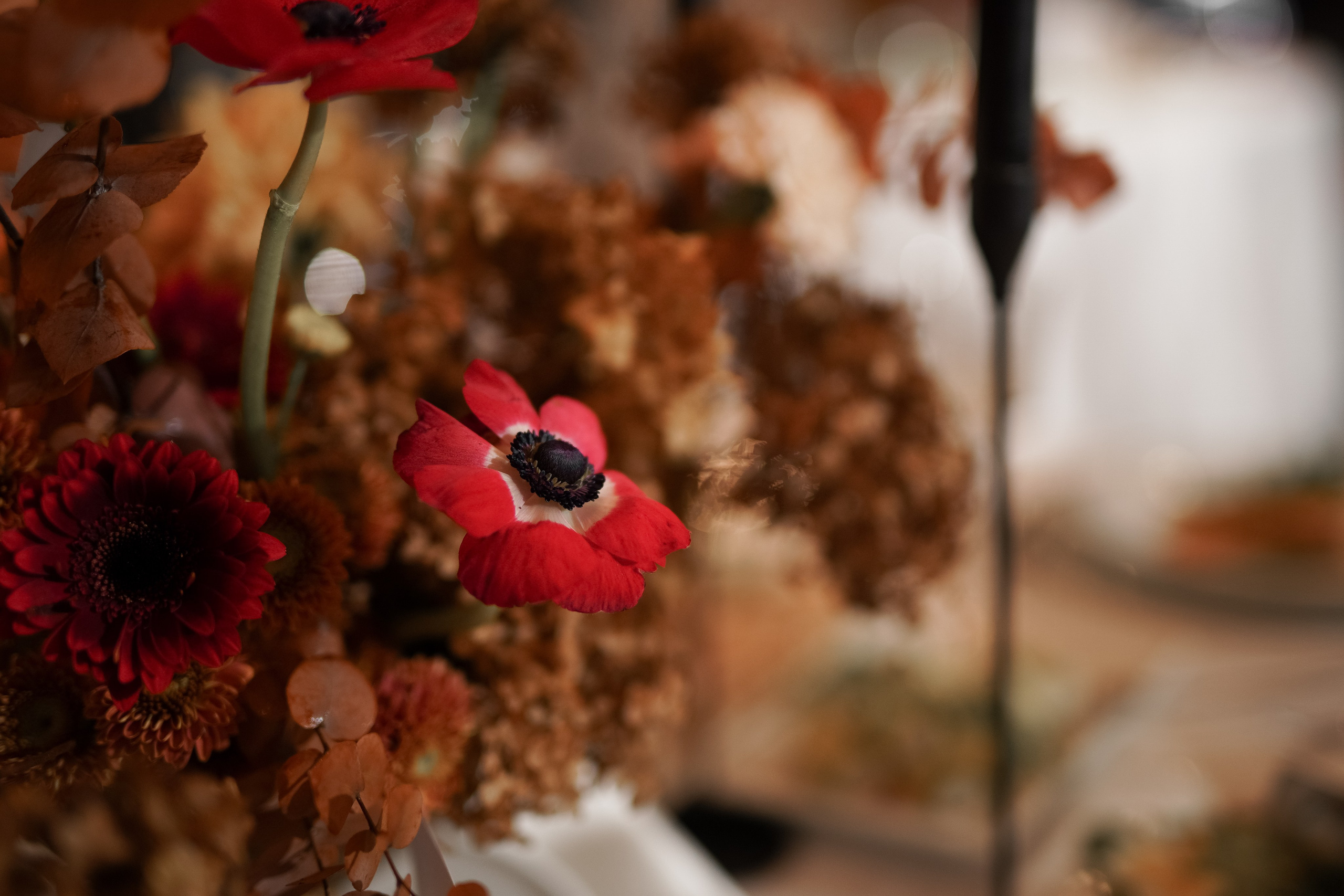 Валерия и Денис. Свадебный фотограф Марина Попова