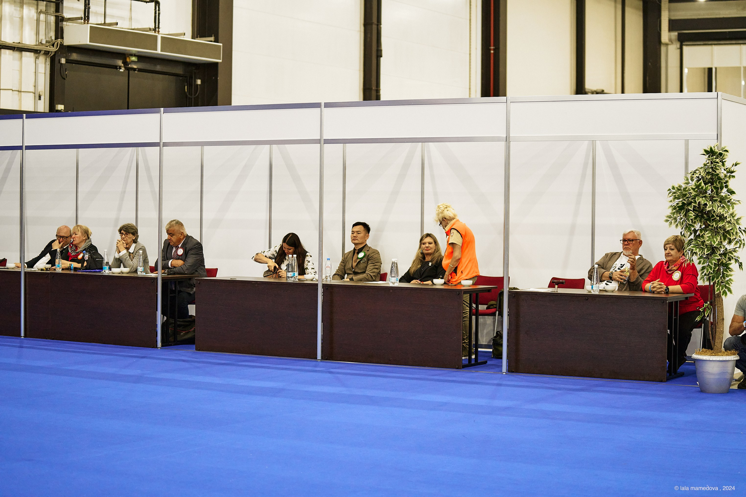 21.07.2024 | «БАЛТИК-ШОУ-2-2024»