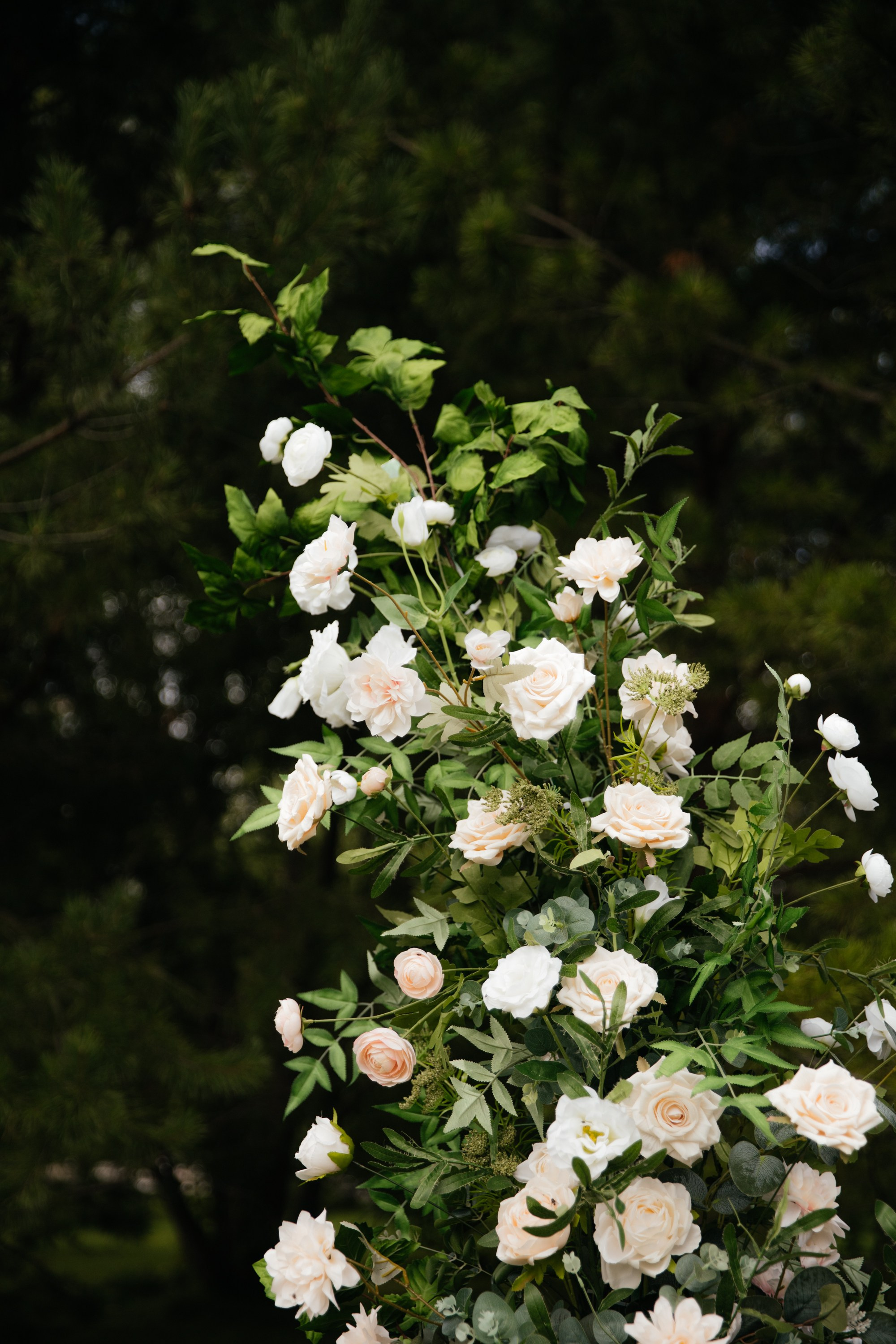 Николай и Татьяна. Фотограф Барнаул Полина Теплова