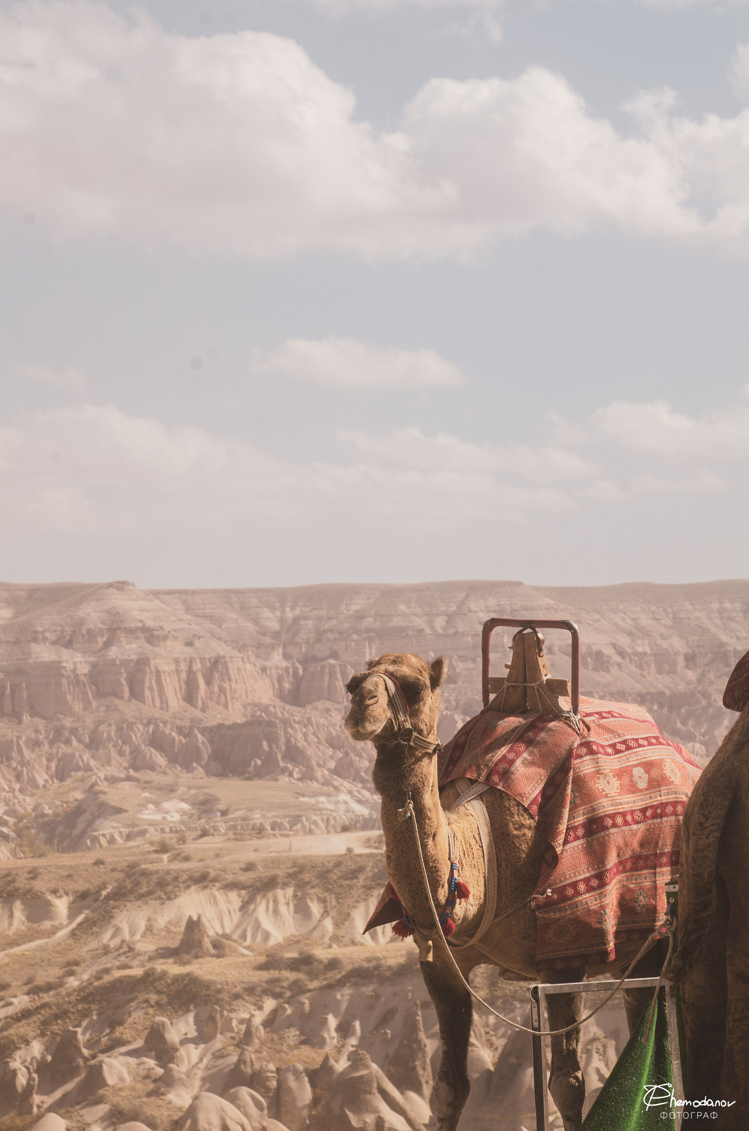 Колесим по Турции | 2021. Фотограф pchemodanov