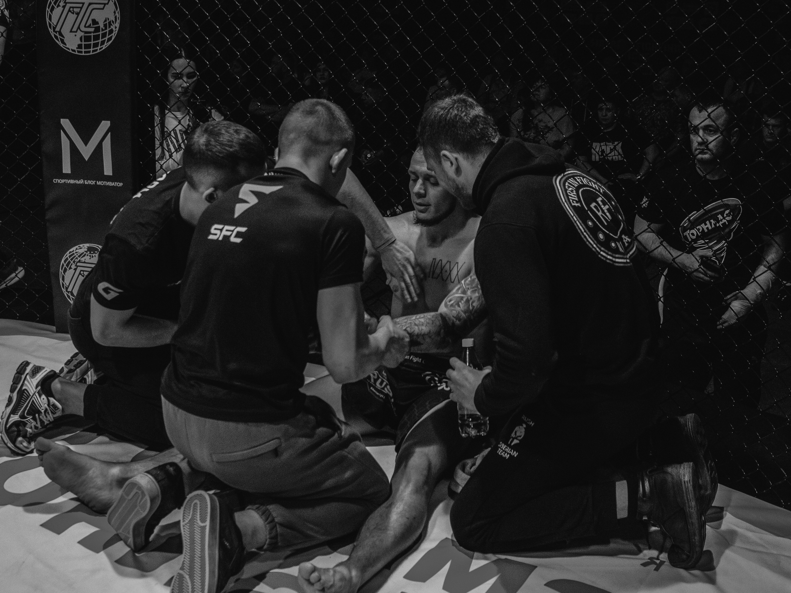 SFL 17 | Siberian Fighting League. Портретный фотограф в Москве Дарья Цезария