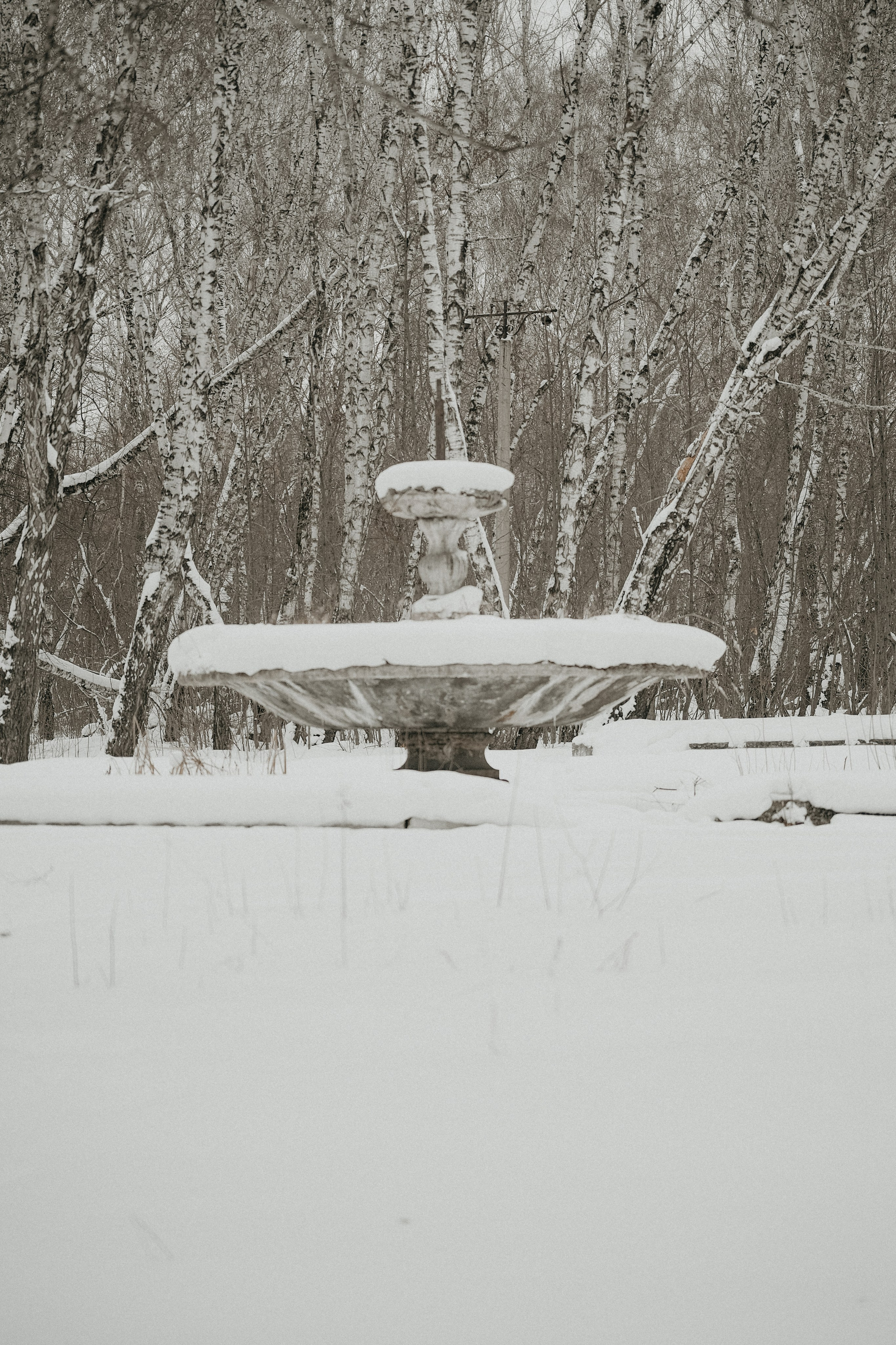Мария. Свадебный, портретный и детский фотограф в Челябинске