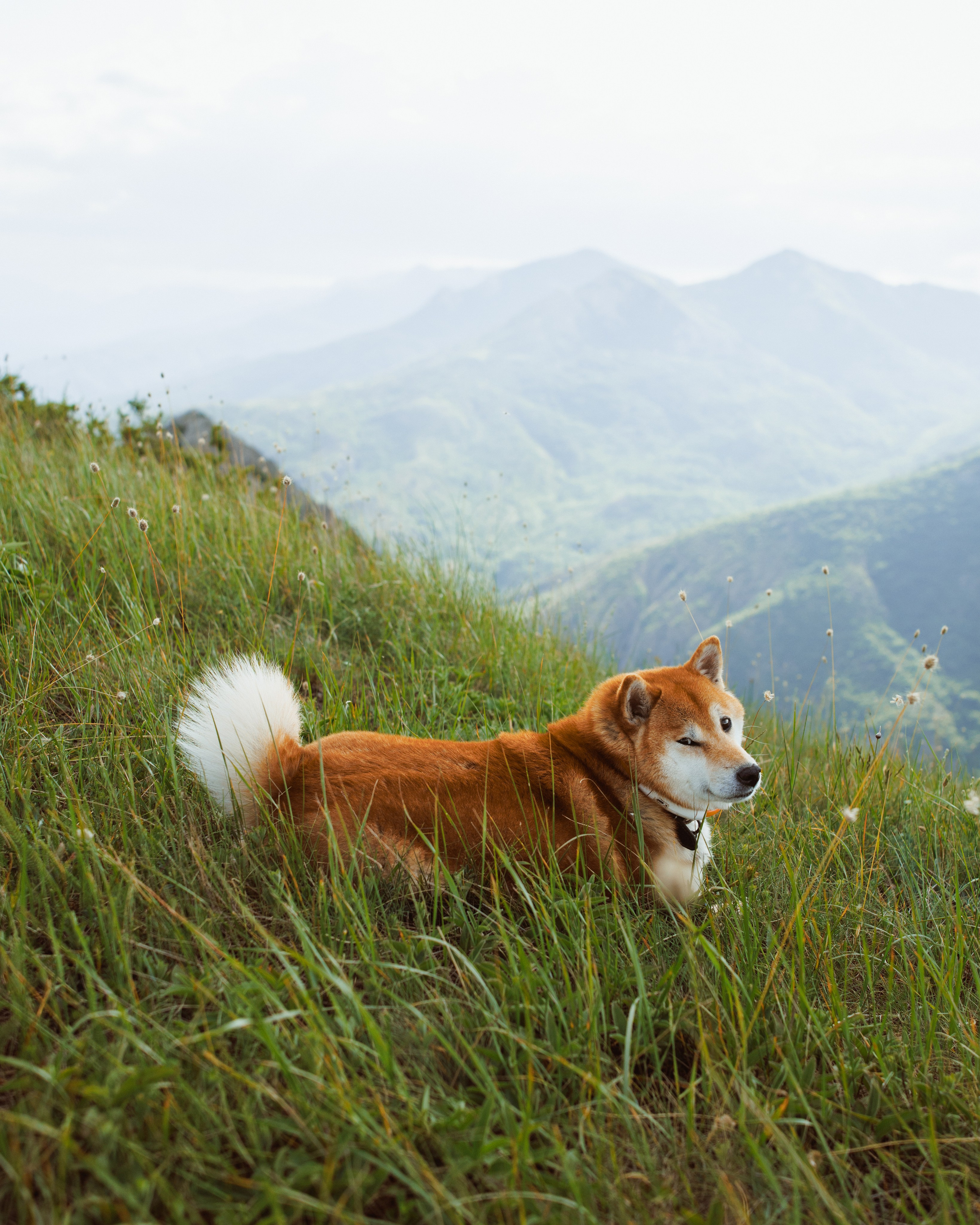 Nature. Артем Корнев Фотограф