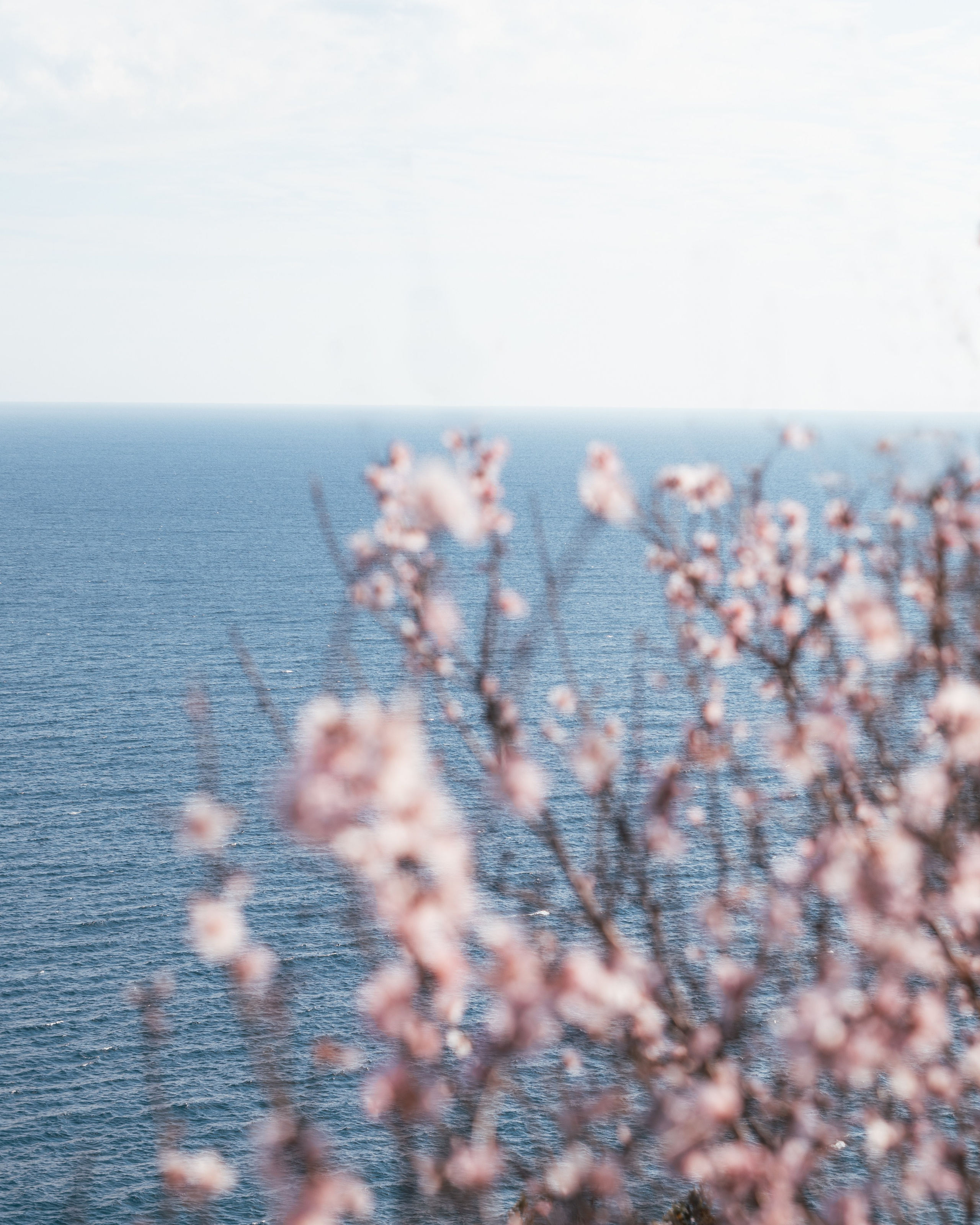 Nature. Артем Корнев Фотограф