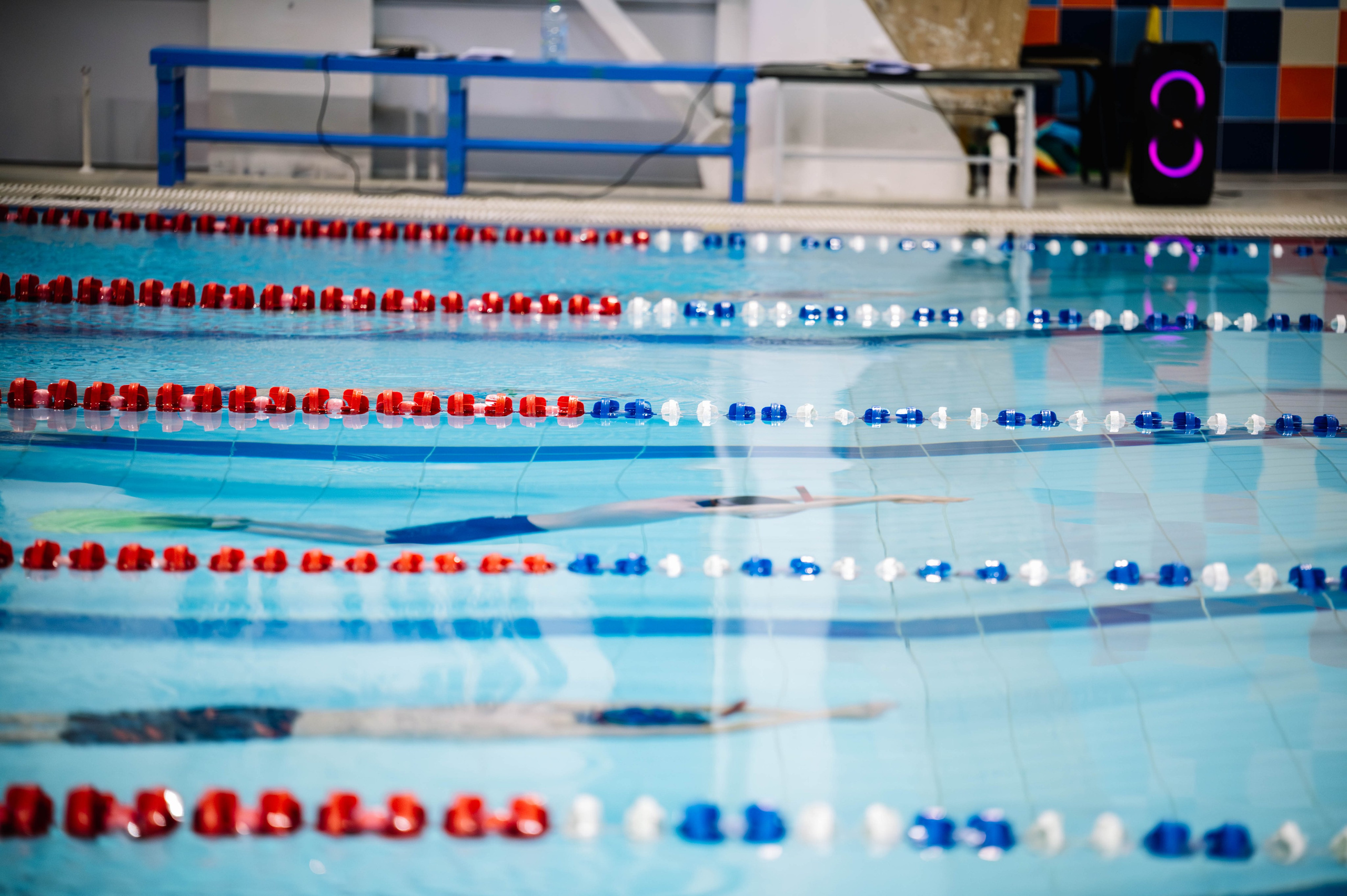 Первый этап кубка плавания, Дельфин. Октябрь, 2024. Спортивный фотограф в Туле и Тульской области. Файсханова Фото Спорт
