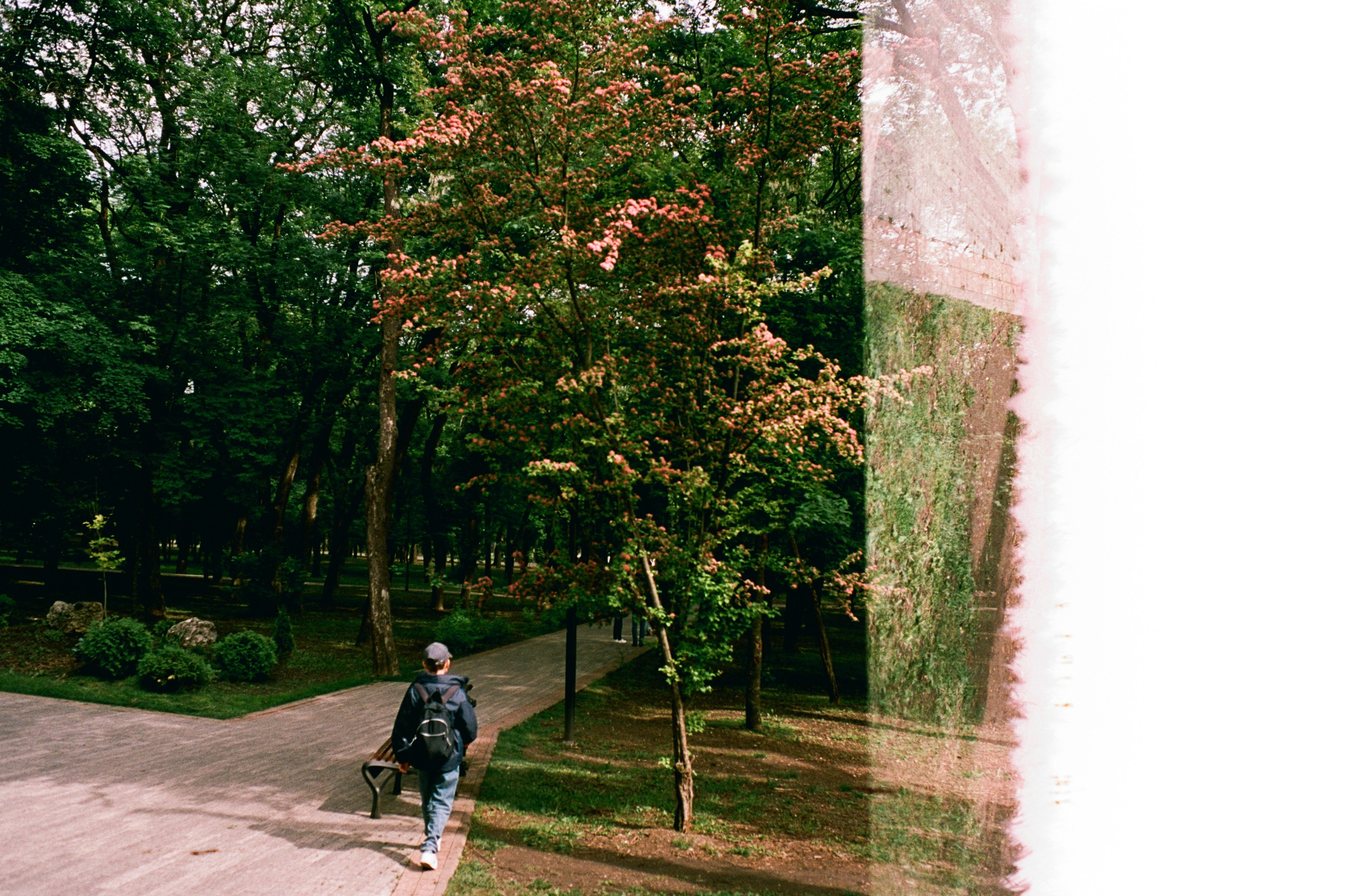 Парк Ессентуки и дорога к перевалу / Kodak Aerocolor IV / BESSA-T