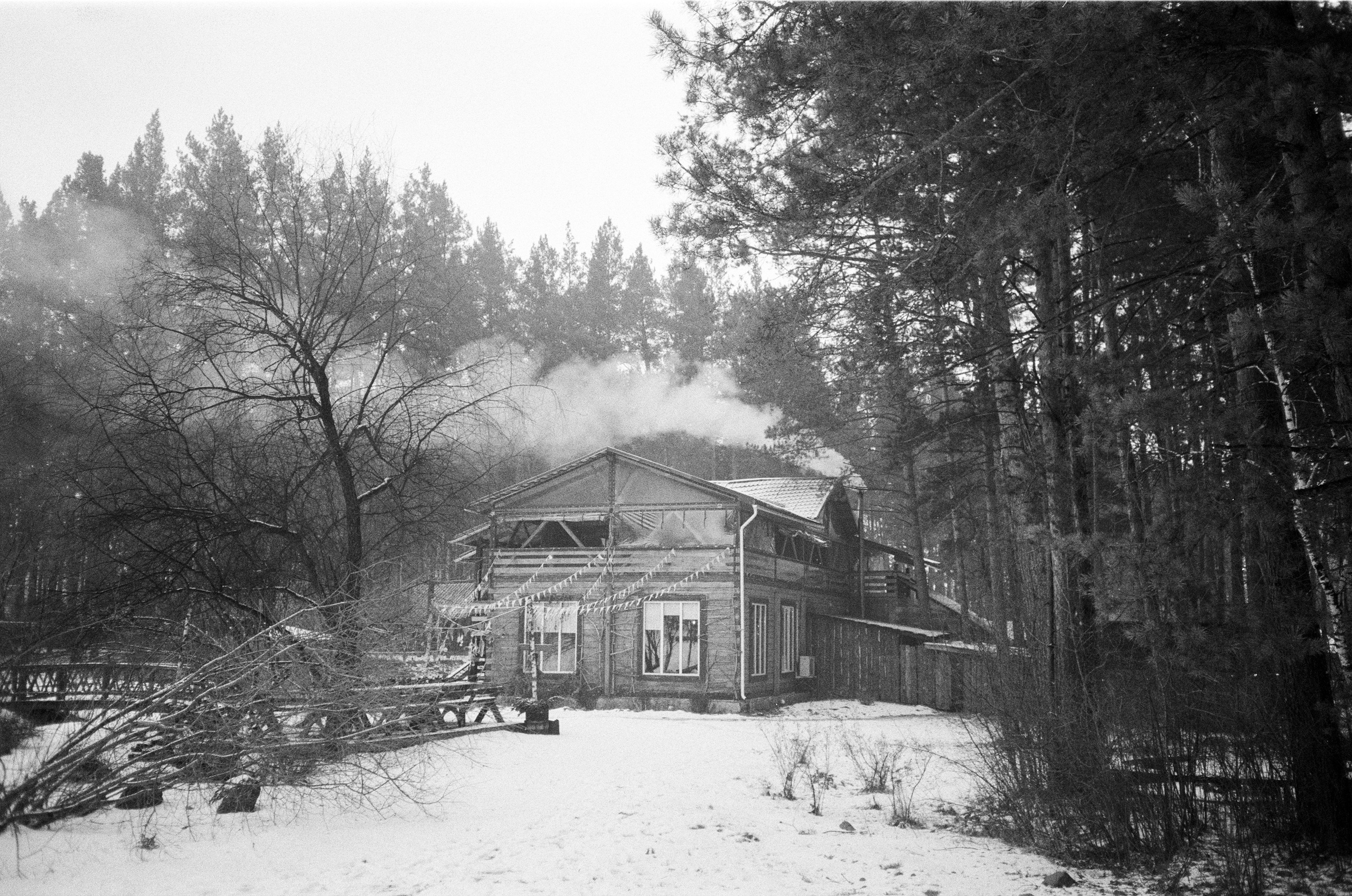 Olympus AF-10 SUPER / Ilford PAN 400 / Алтай, зима 2023 год