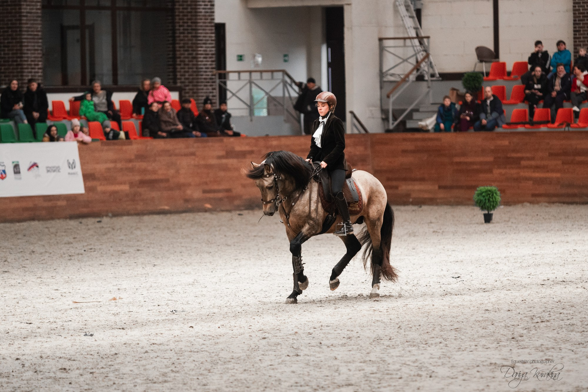 8-я международная выставка Конная Россия. Конный фотограф Куракина Дарья • Фотосессии с лошадьми