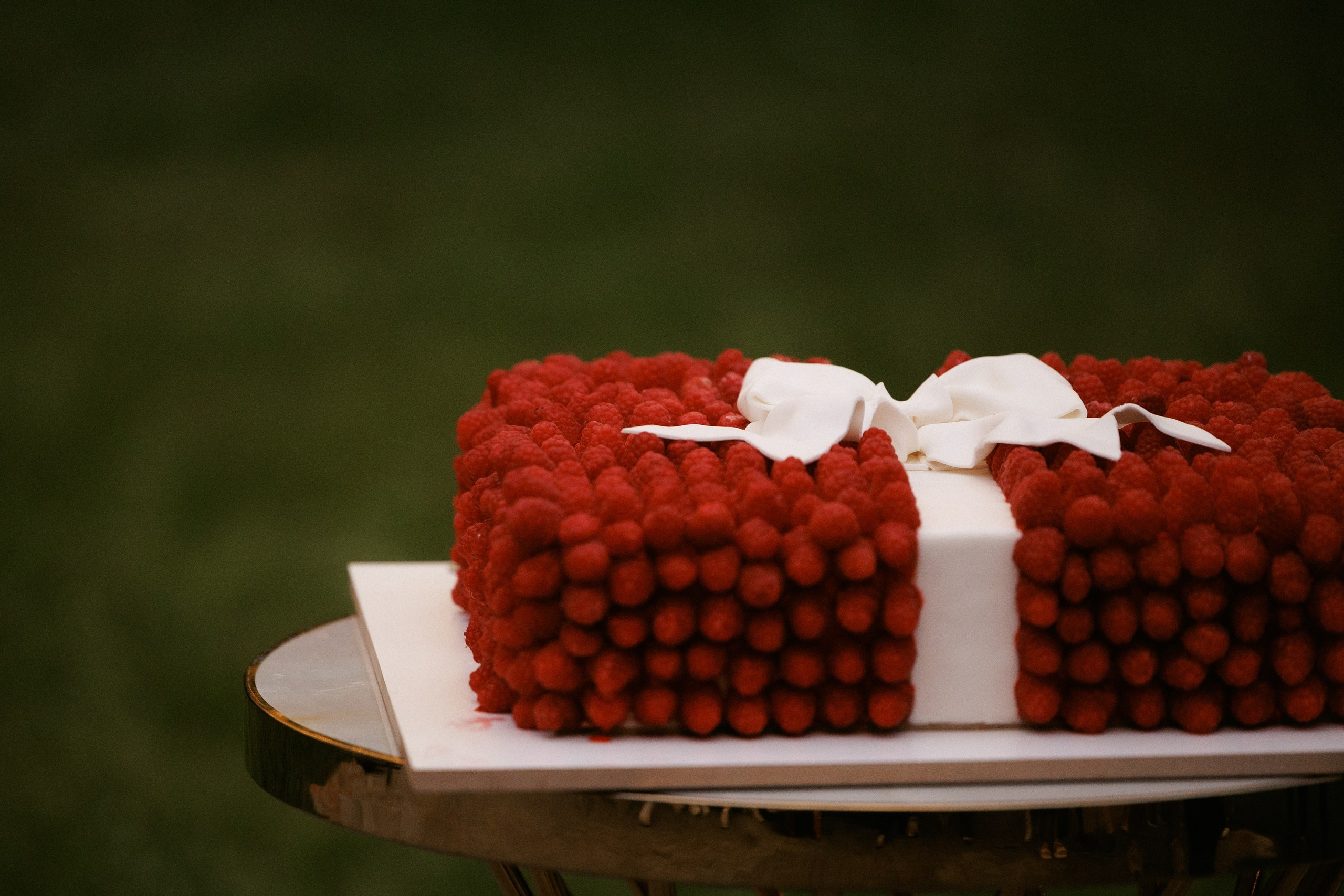 Свадьба под шёпот деревьев. Свадебный и семейный фотограф в Твери, Москве, Санкт-Петербурге