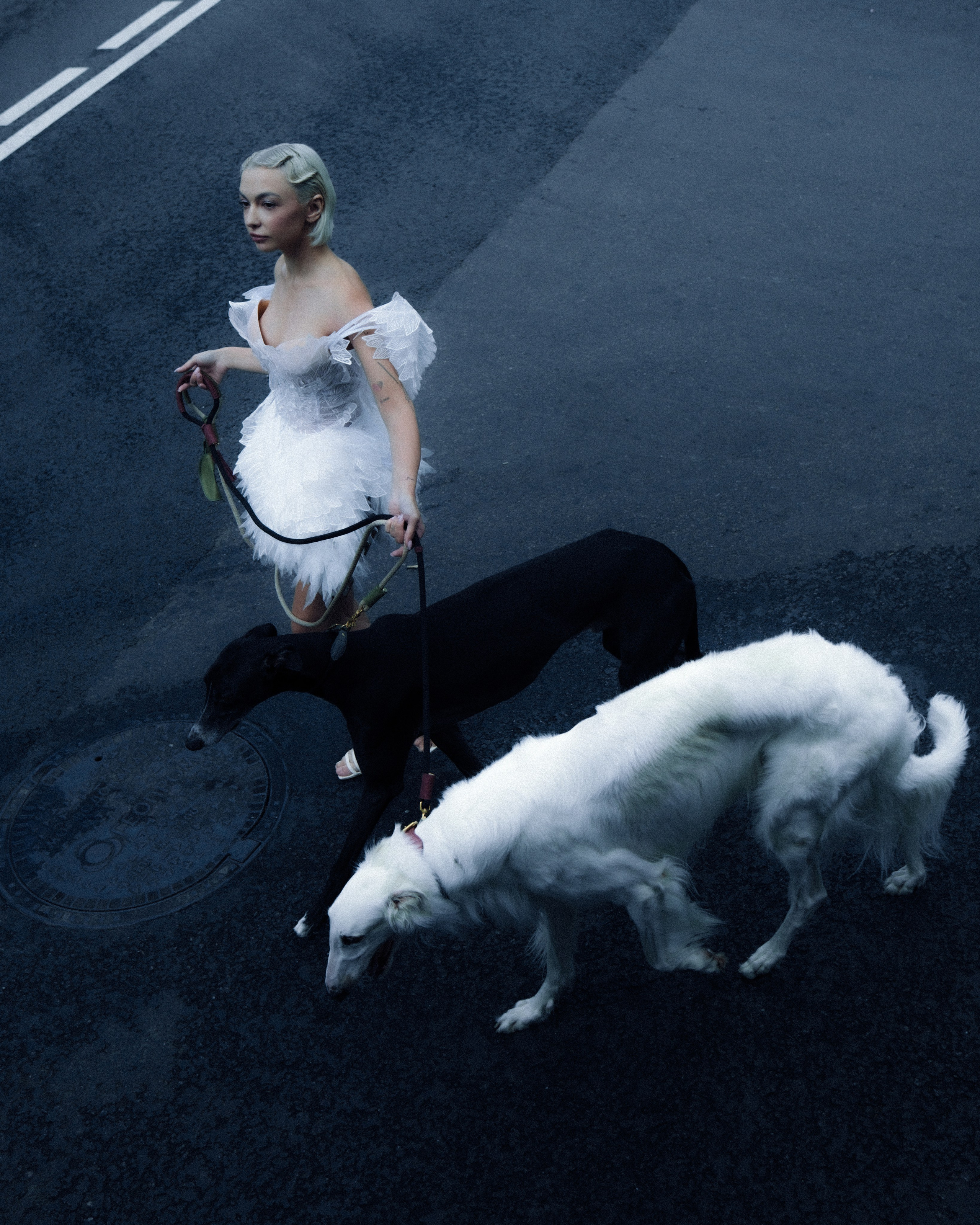 Dogbar. Dariaegudina.ru