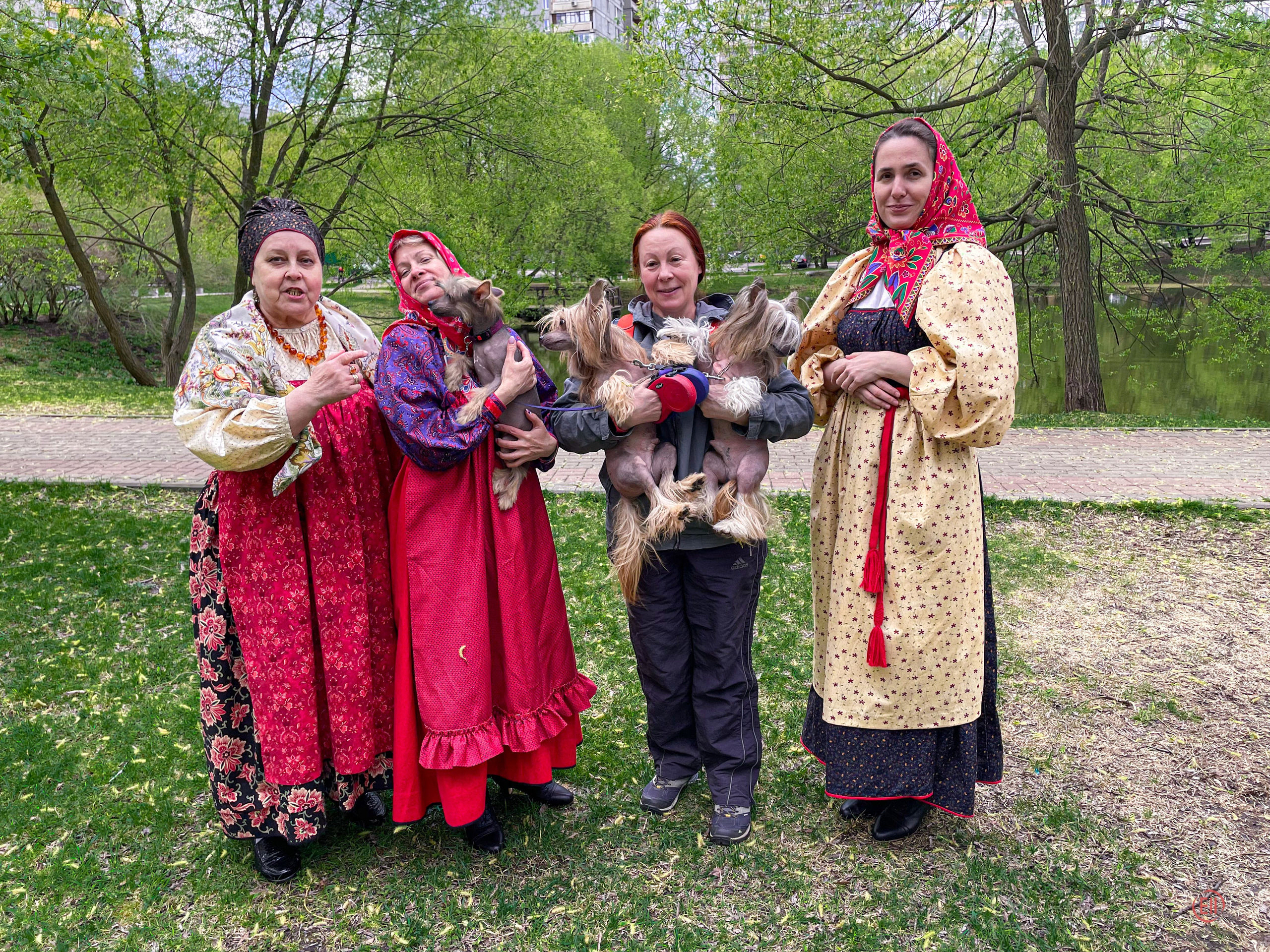 We were stopped on our walk!. Poale Ell Chinese Crested Dog Kennel: Buy a puppy from the kennel