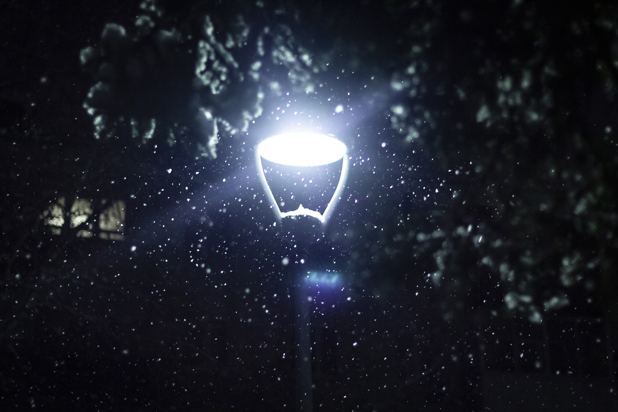 Новокузнецк. Фотограф в Новокузнецке