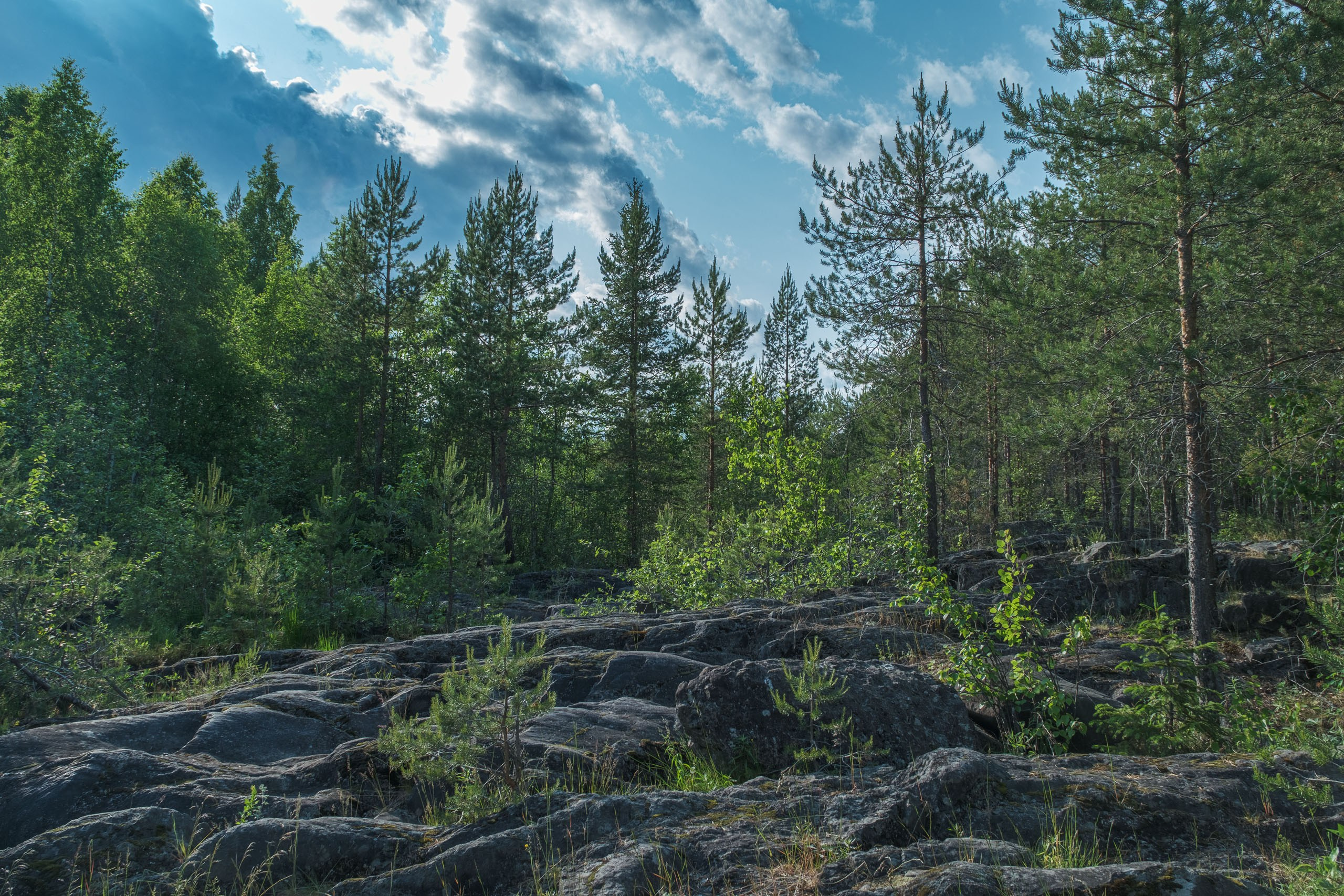 Фотоальбом с разными съёмками