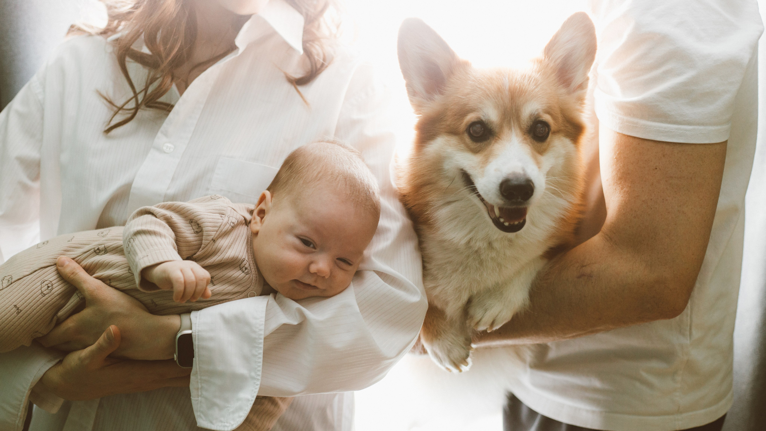 Андрей, Саша и все-все-все