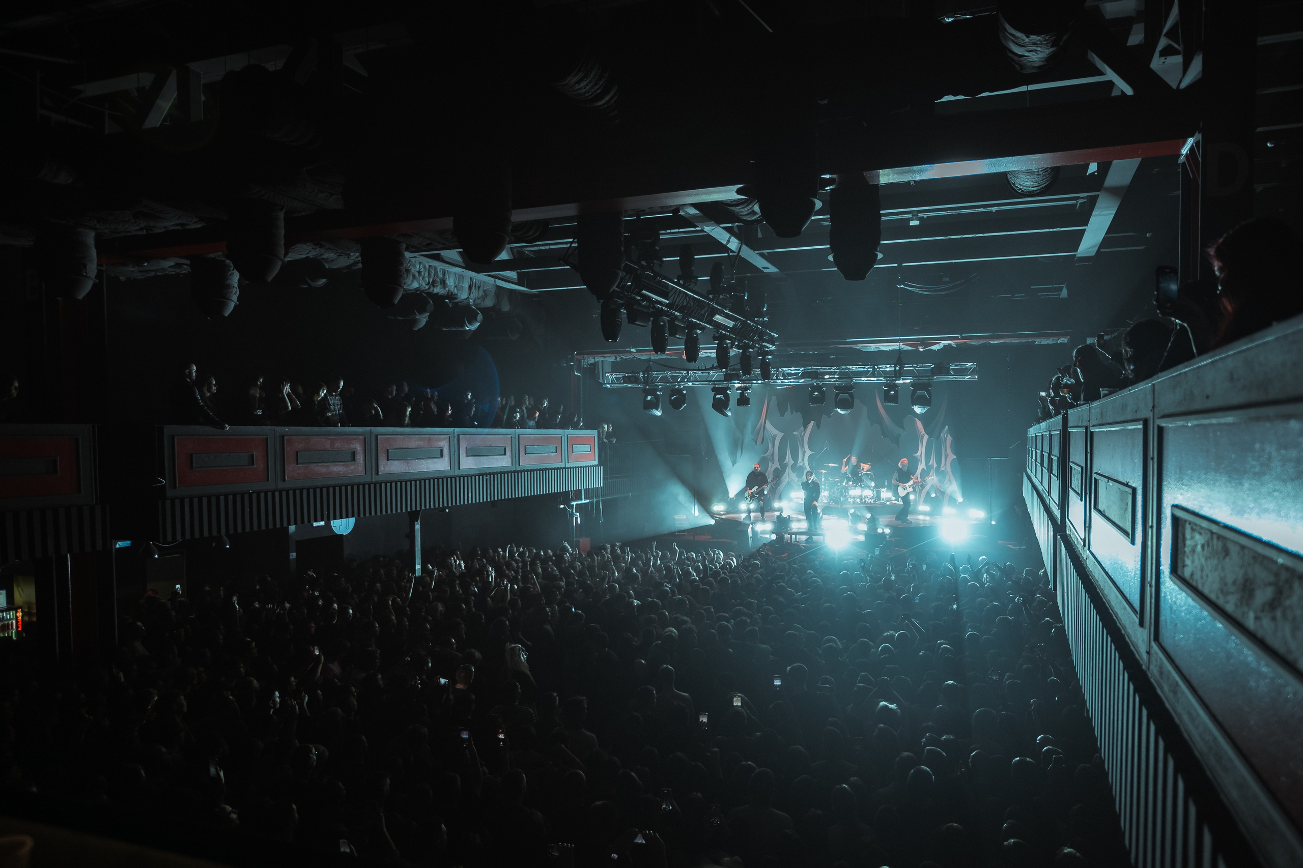 Wildways, Sound, 16.11.24. Репортажный фотограф, Санкт-Петербург