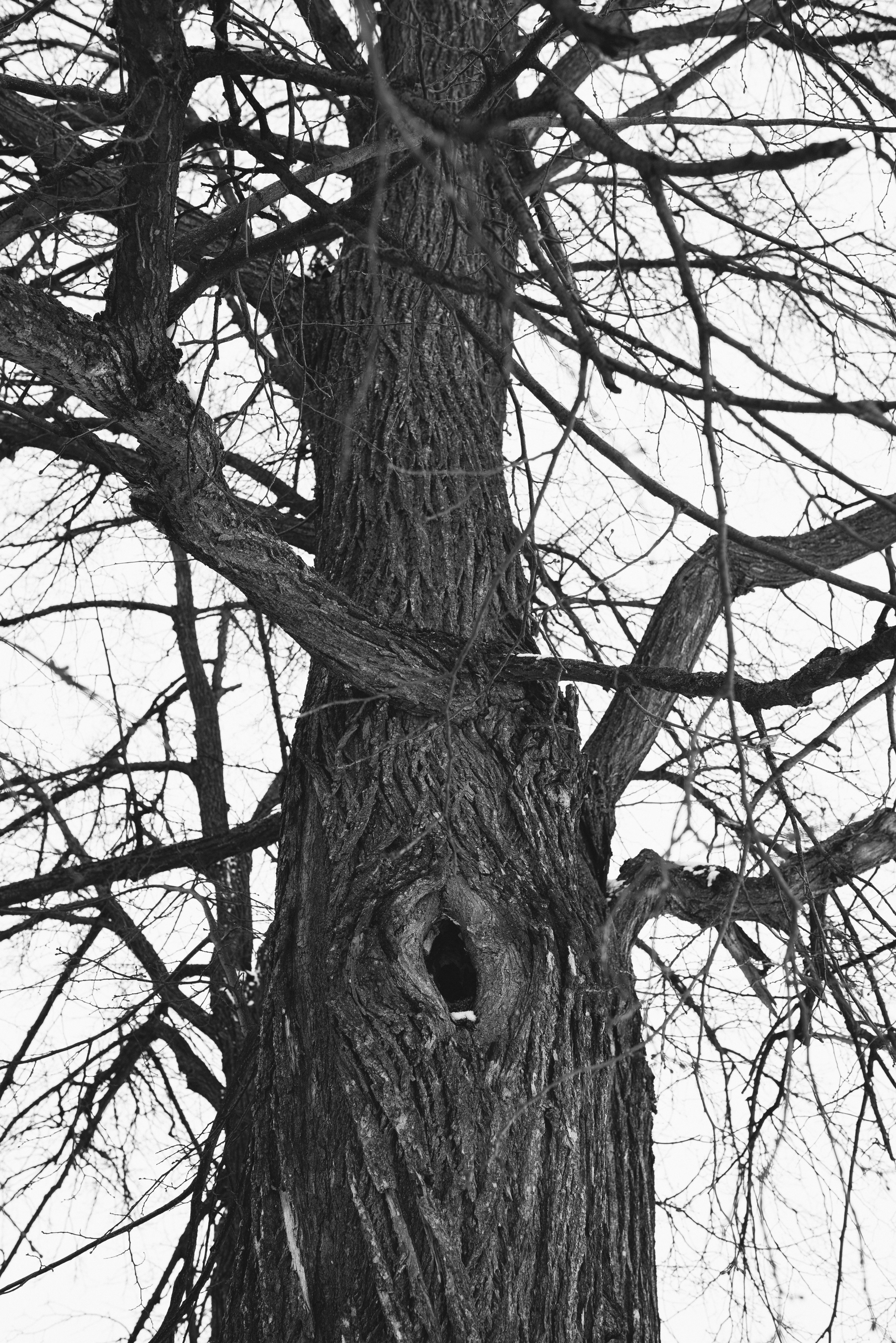 ДУША. Семейный и newborn фотограф в Уфе Елена Сакурова