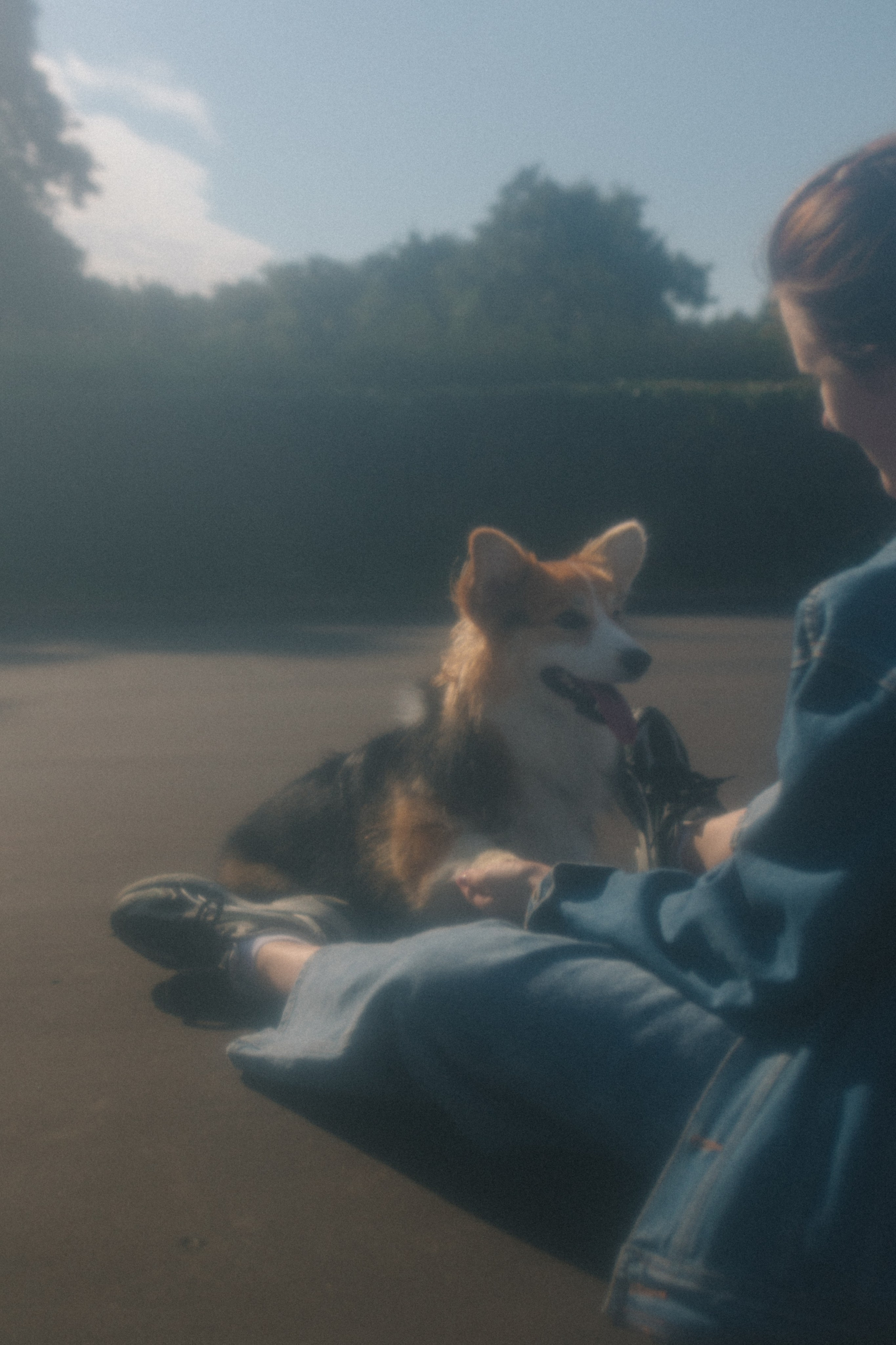 Мишель и Влада. Фотораф — анималист Мария Шистка