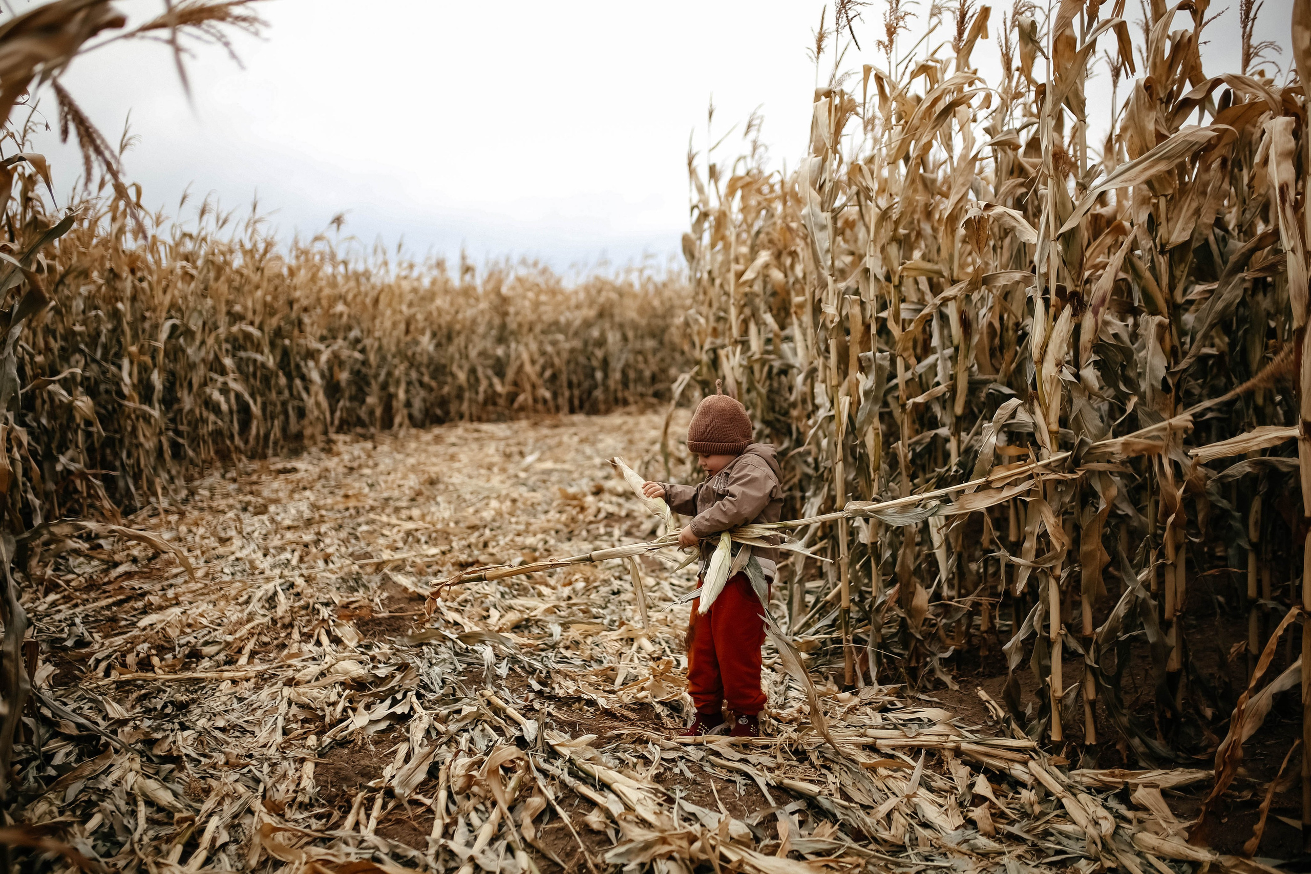 КУКУРУЗА. Семейный фотограф из Екатеринбурга Катя Маруневич